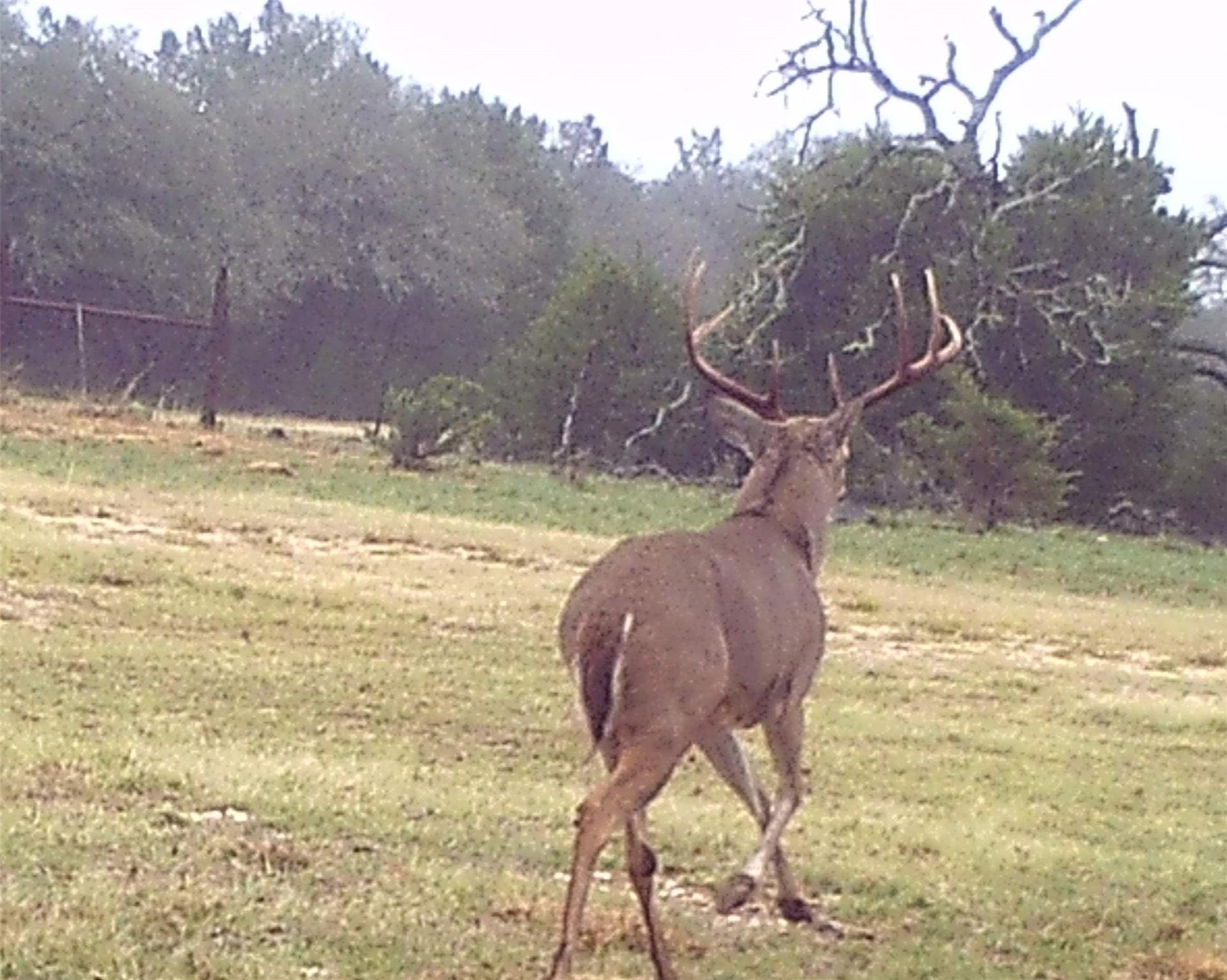 2334 CR 105, Lampasas, TX 76550 photo 2