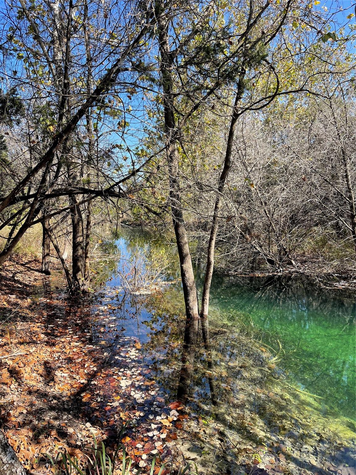 8170 US Hwy 281 Highway, Blanco, TX 78606 photo 5