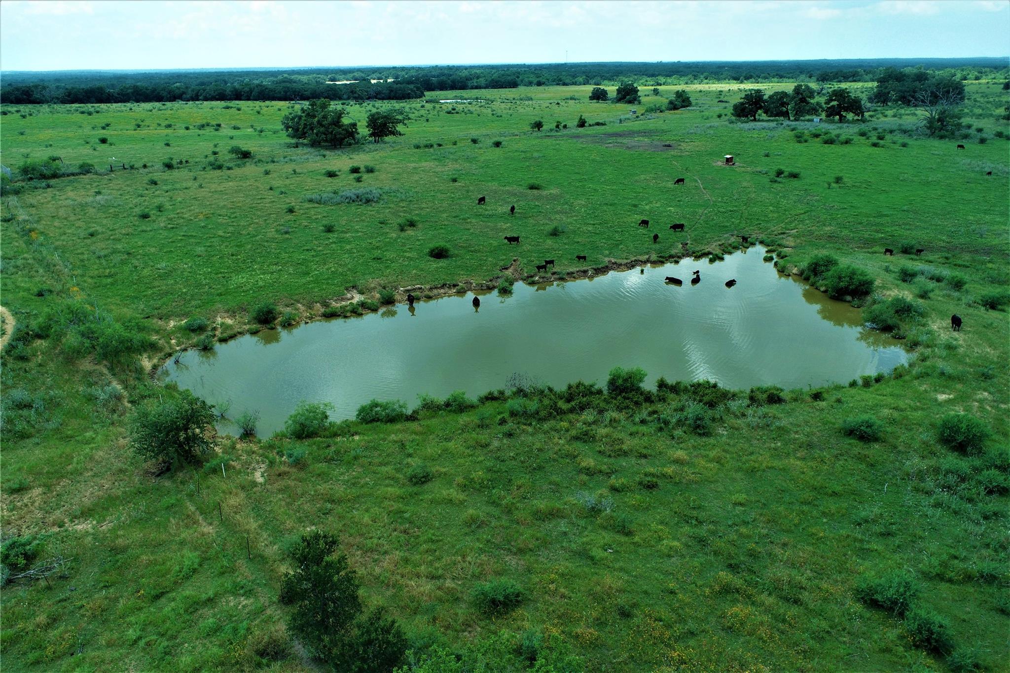 TBD CANNON SNAP RD, Milano, TX 76556 photo 3
