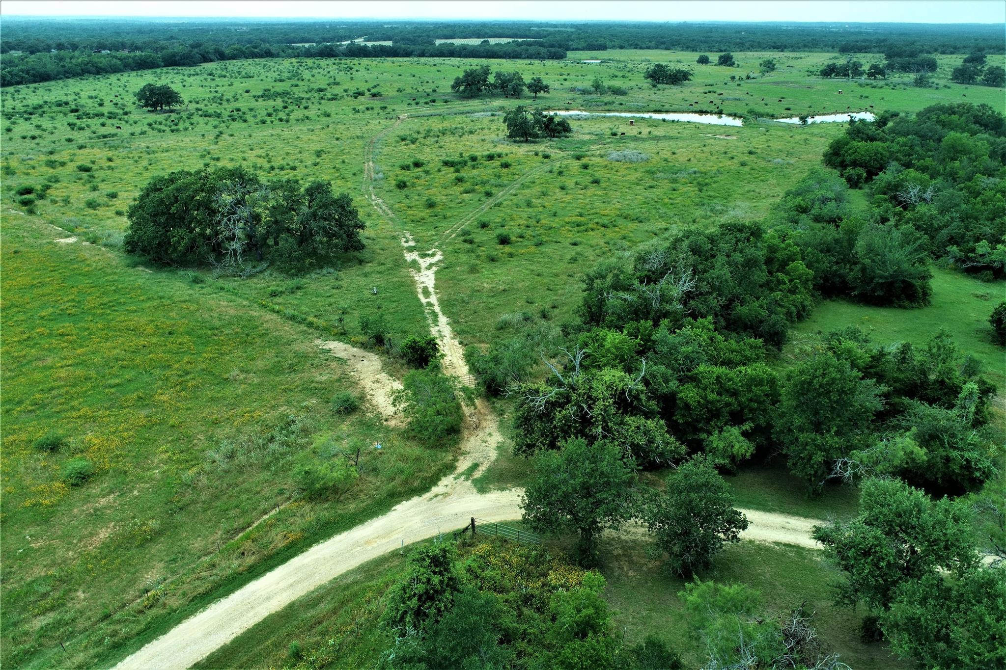 TBD CANNON SNAP RD, Milano, TX 76556 photo 4