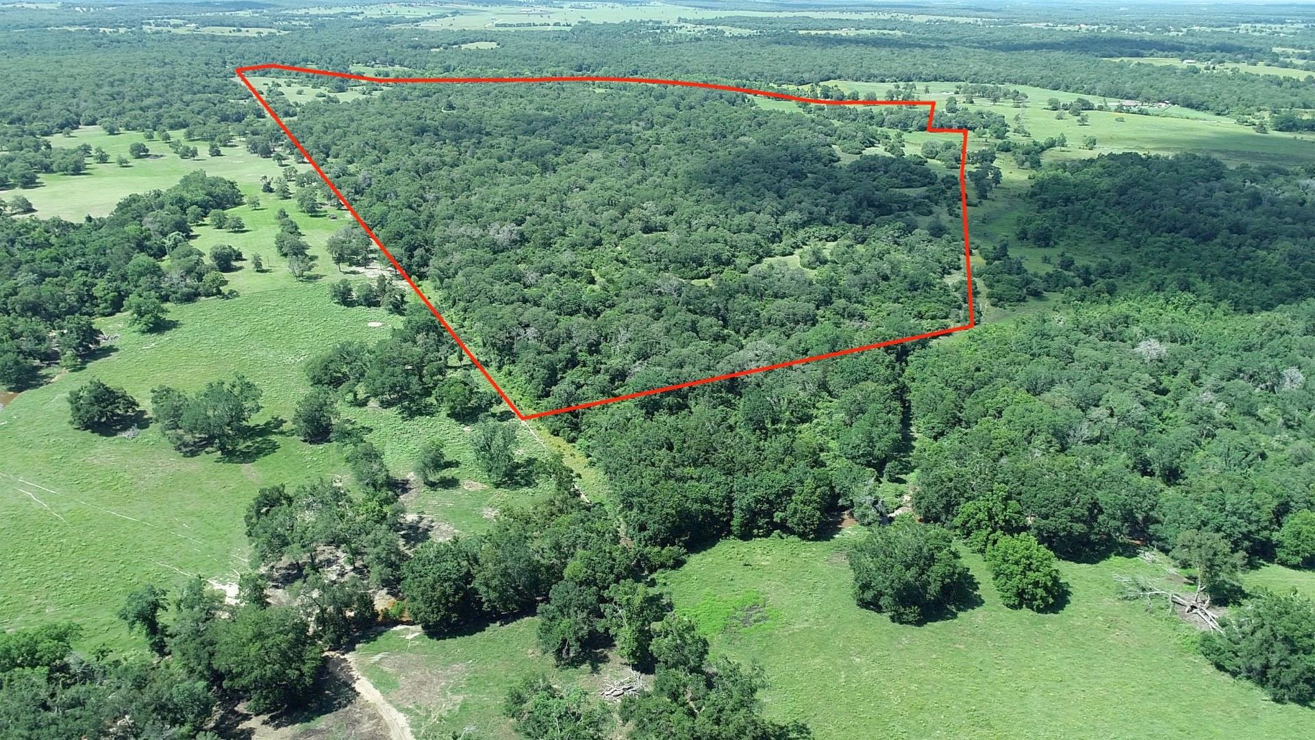 2055 CR 342 RD, Milano, TX 76556 photo 3
