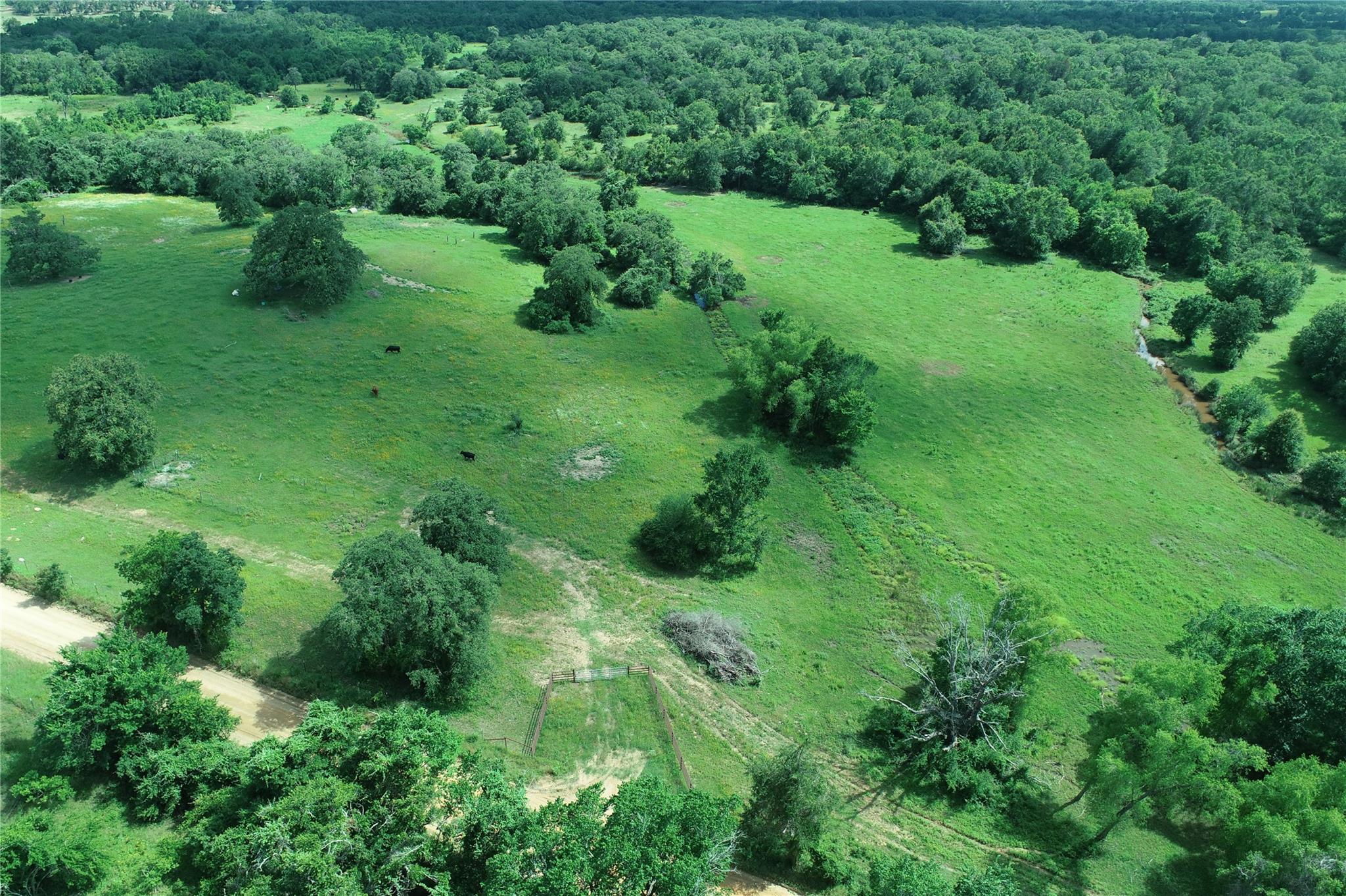 2055 CR 342 RD, Milano, TX 76556 photo 5