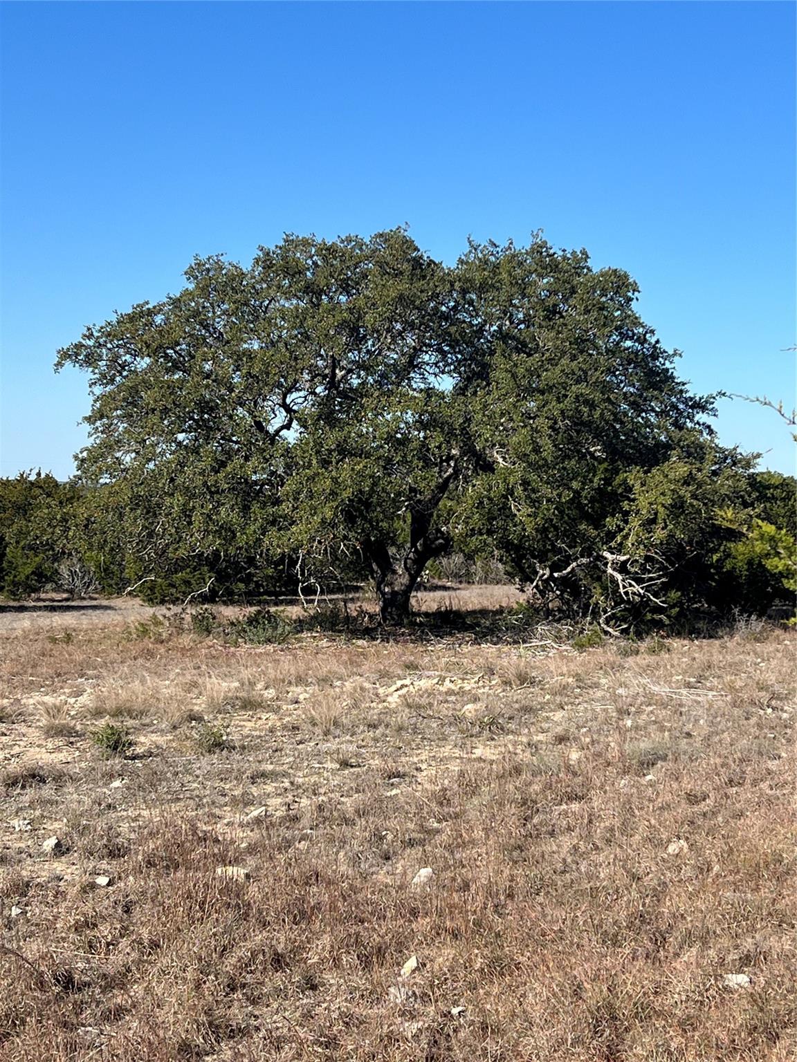 Lot 138 High Point DR, Kempner, TX 76539 photo 4