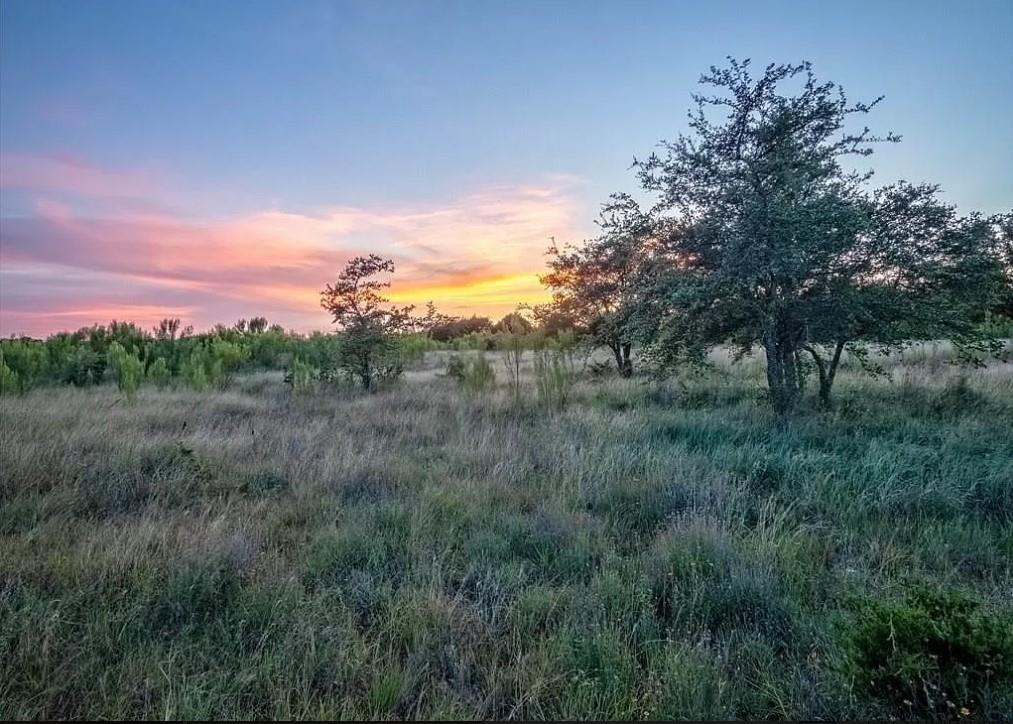 Lot 185 Three Creeks DR, Bertram, TX 78605 photo 5