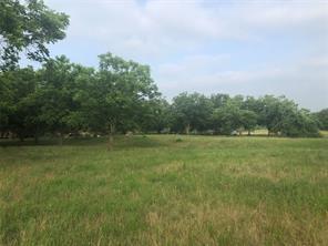 29 CR 126, Georgetown, TX 78626 photo 5