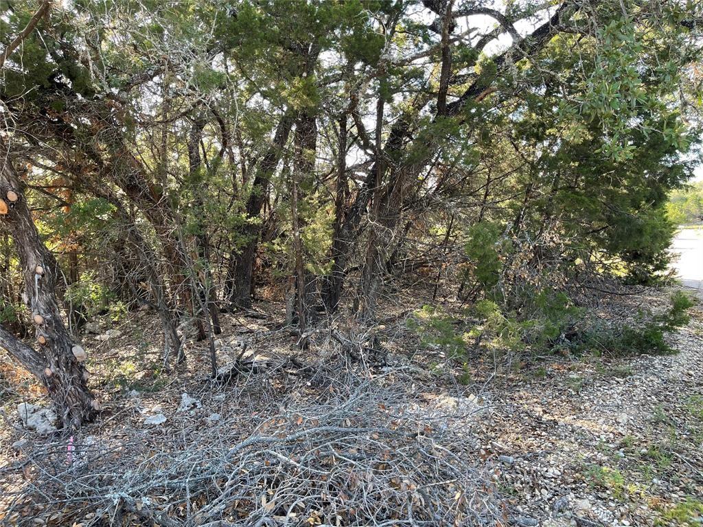 21105 Santa Carlo Ave, Lago Vista, TX 78645 photo 3
