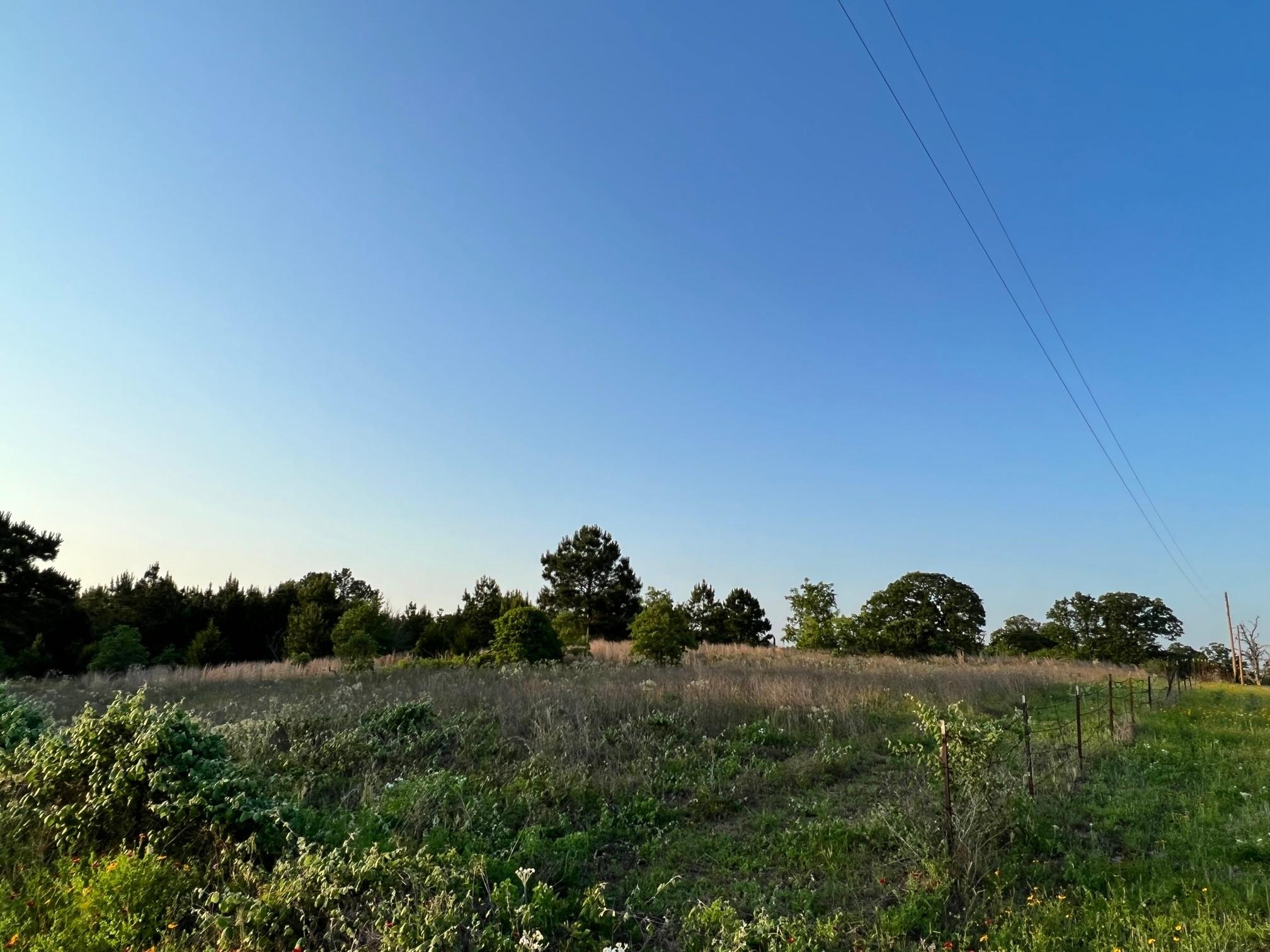 Lot 27 Kinsey Rd, Paige, TX 78659 photo 2