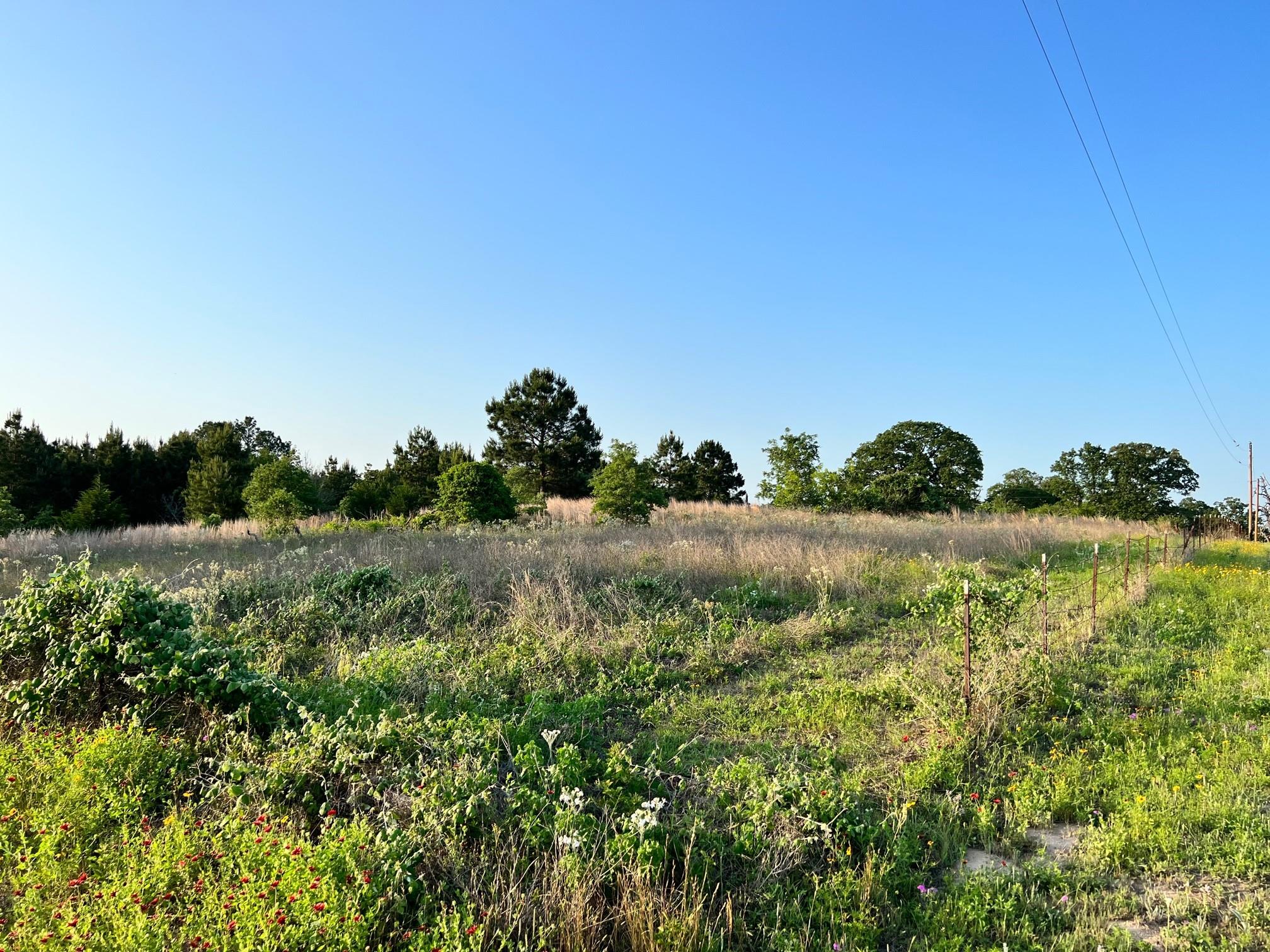 Lot 27 Kinsey Rd, Paige, TX 78659 photo 5