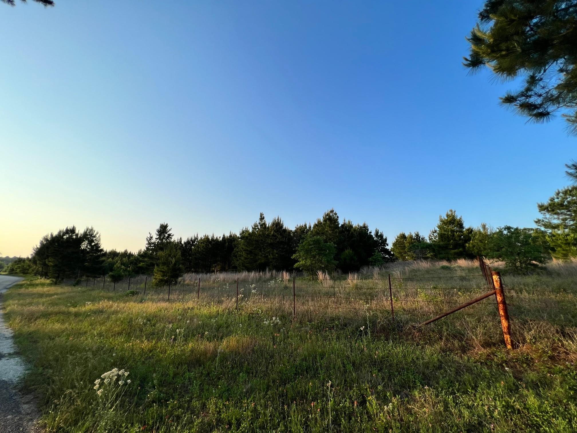 Lot 27 Kinsey Rd, Paige, TX 78659 photo 4