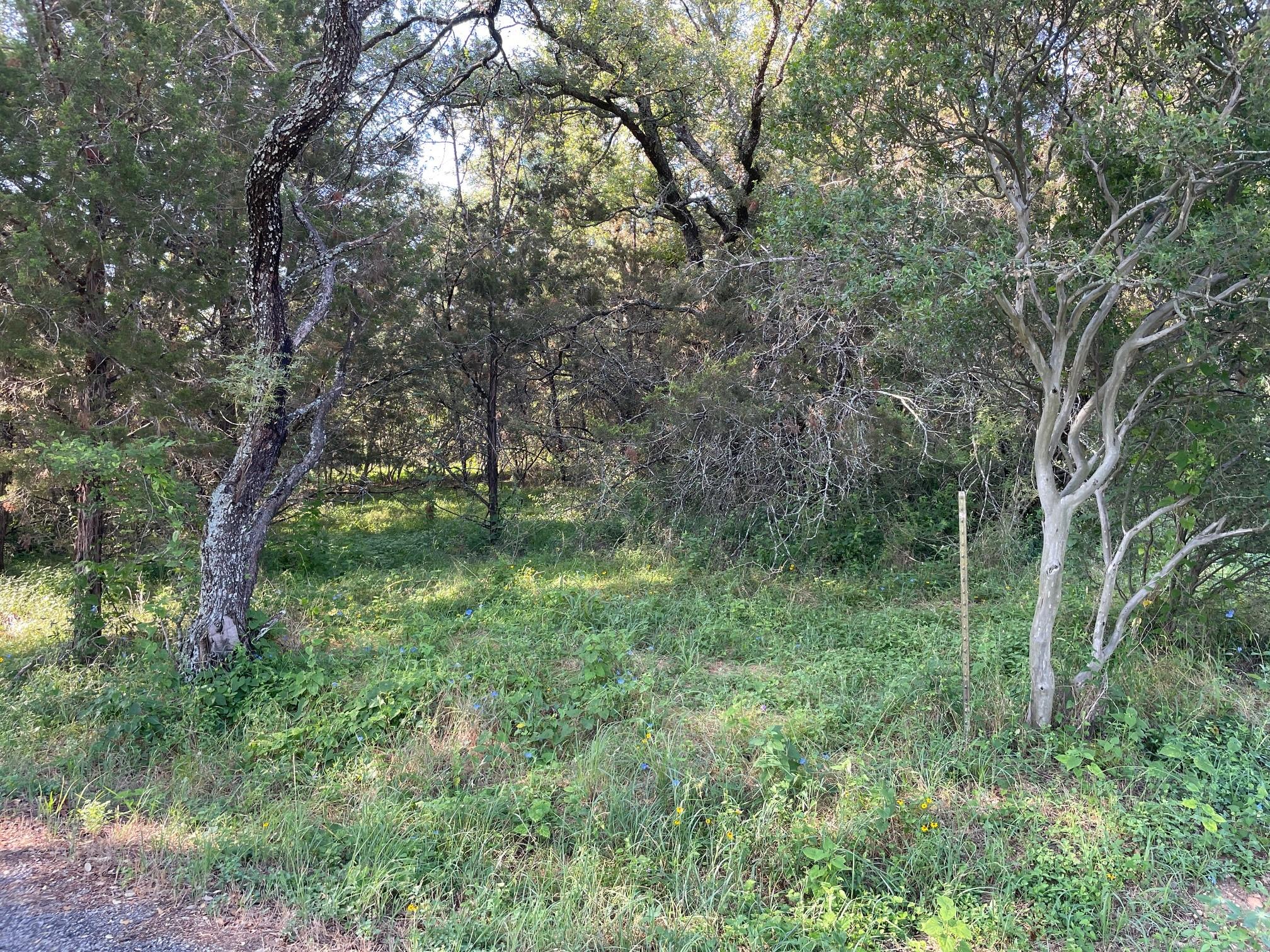 Lot 423 Indian Summer, Spicewood, TX 78669 photo 2
