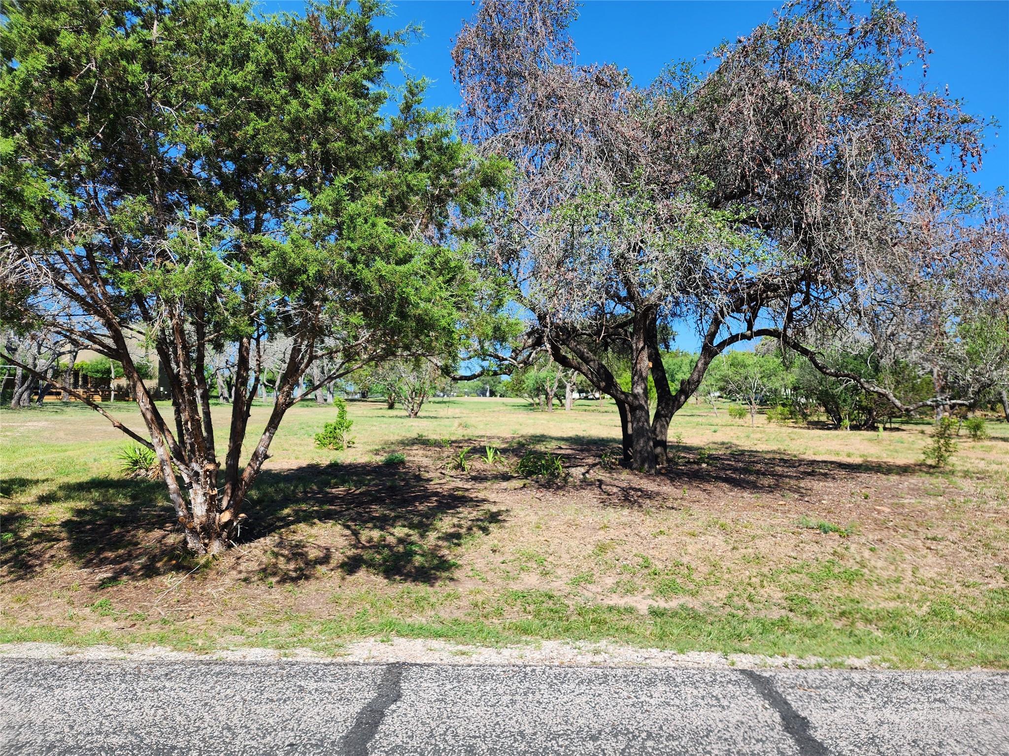314 Coventry   (Lot 374) DR, Spicewood, TX 78669 photo 3