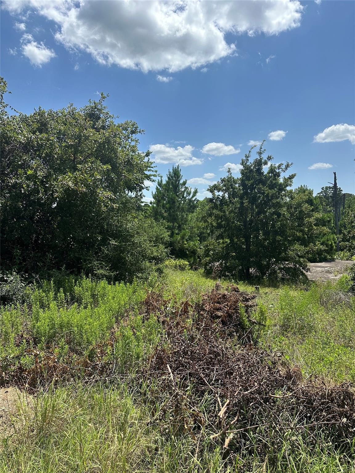 164 Manawianui DR, Bastrop, TX 78602 photo 5