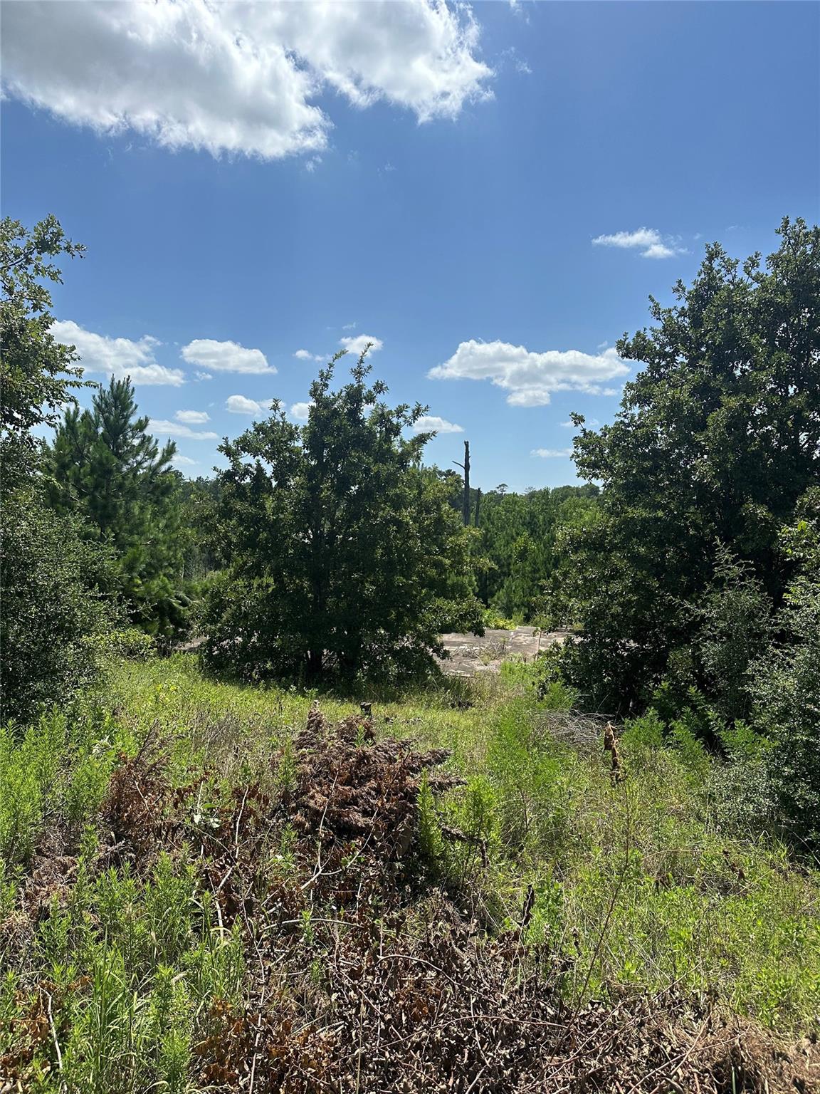 164 Manawianui DR, Bastrop, TX 78602 photo 4