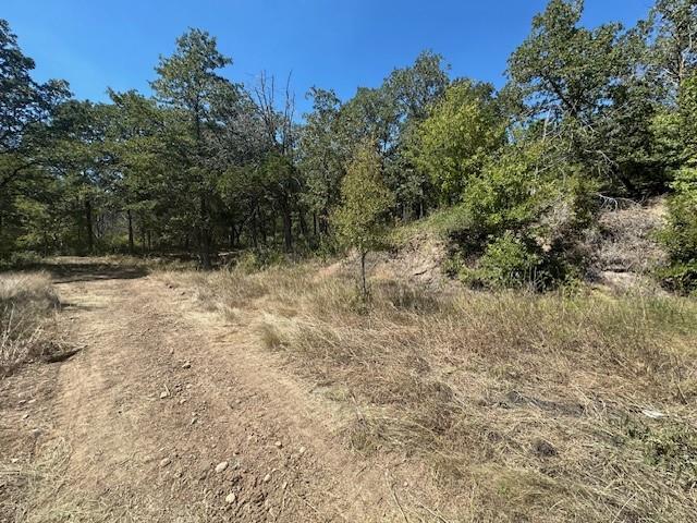 0 TBD lot 103 Ripple Brook DR, Bastrop, TX 78602 photo 2
