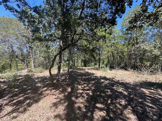 0 TBD lot 103 Ripple Brook DR, Bastrop, TX 78602 photo 5