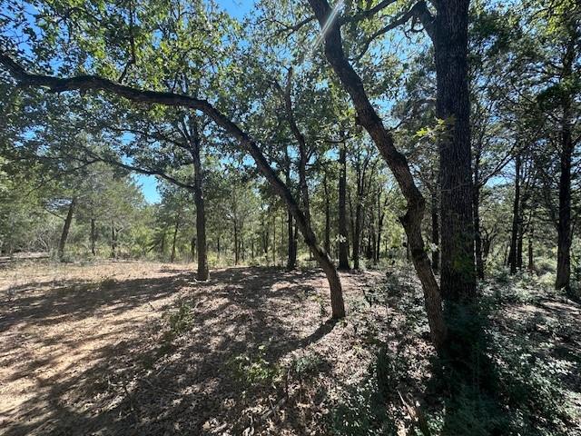 0 TBD lot 103 Ripple Brook DR, Bastrop, TX 78602 photo 4