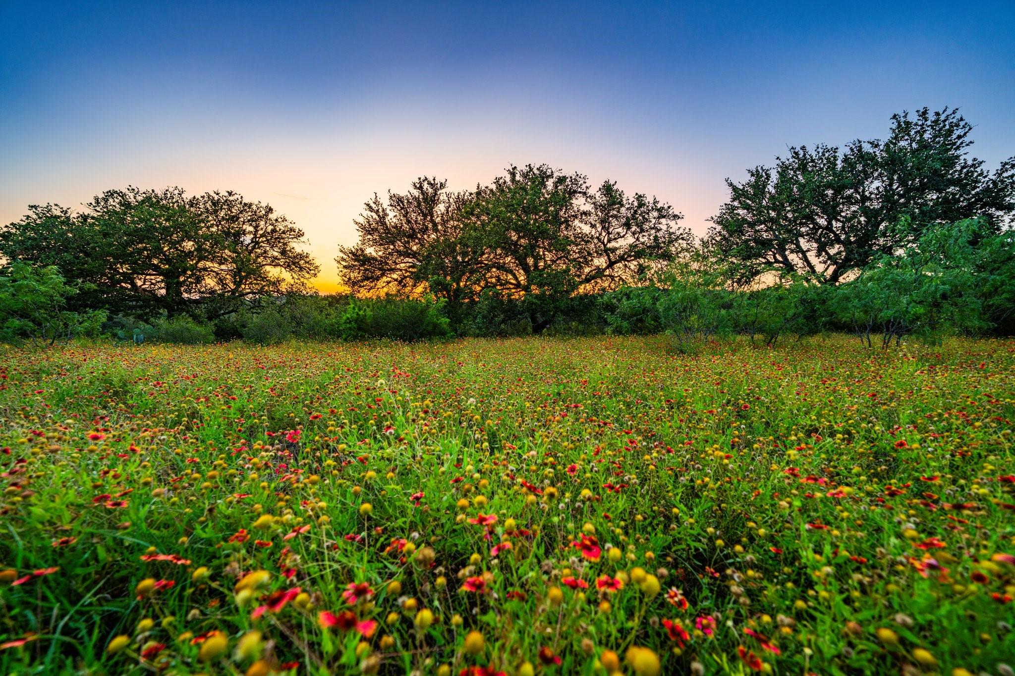 9738 FM 1431, Marble Falls, TX 78654 photo 4