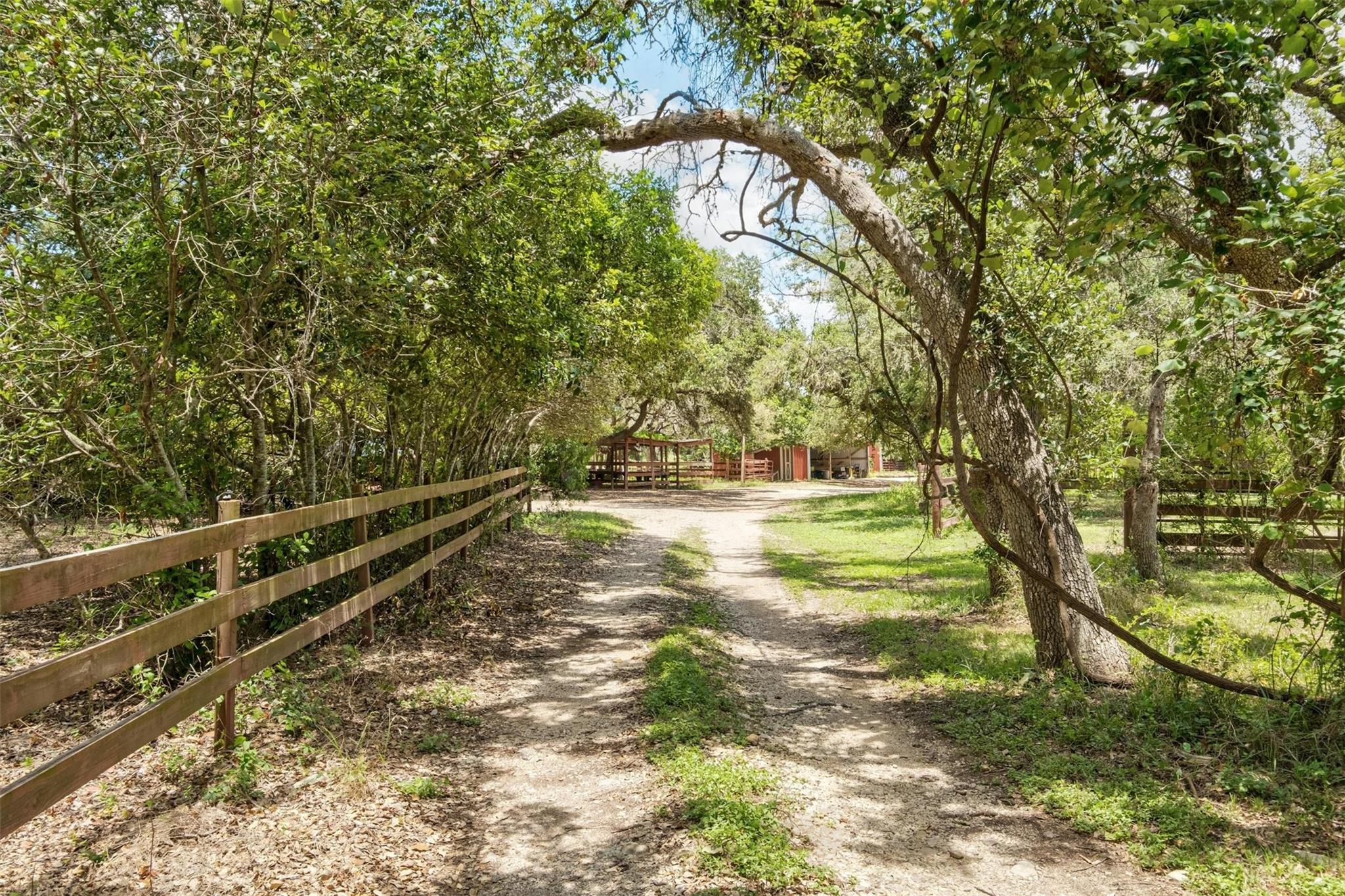 3805 Lone Man Mountain RD #B, Wimberley, TX 78676 photo 4