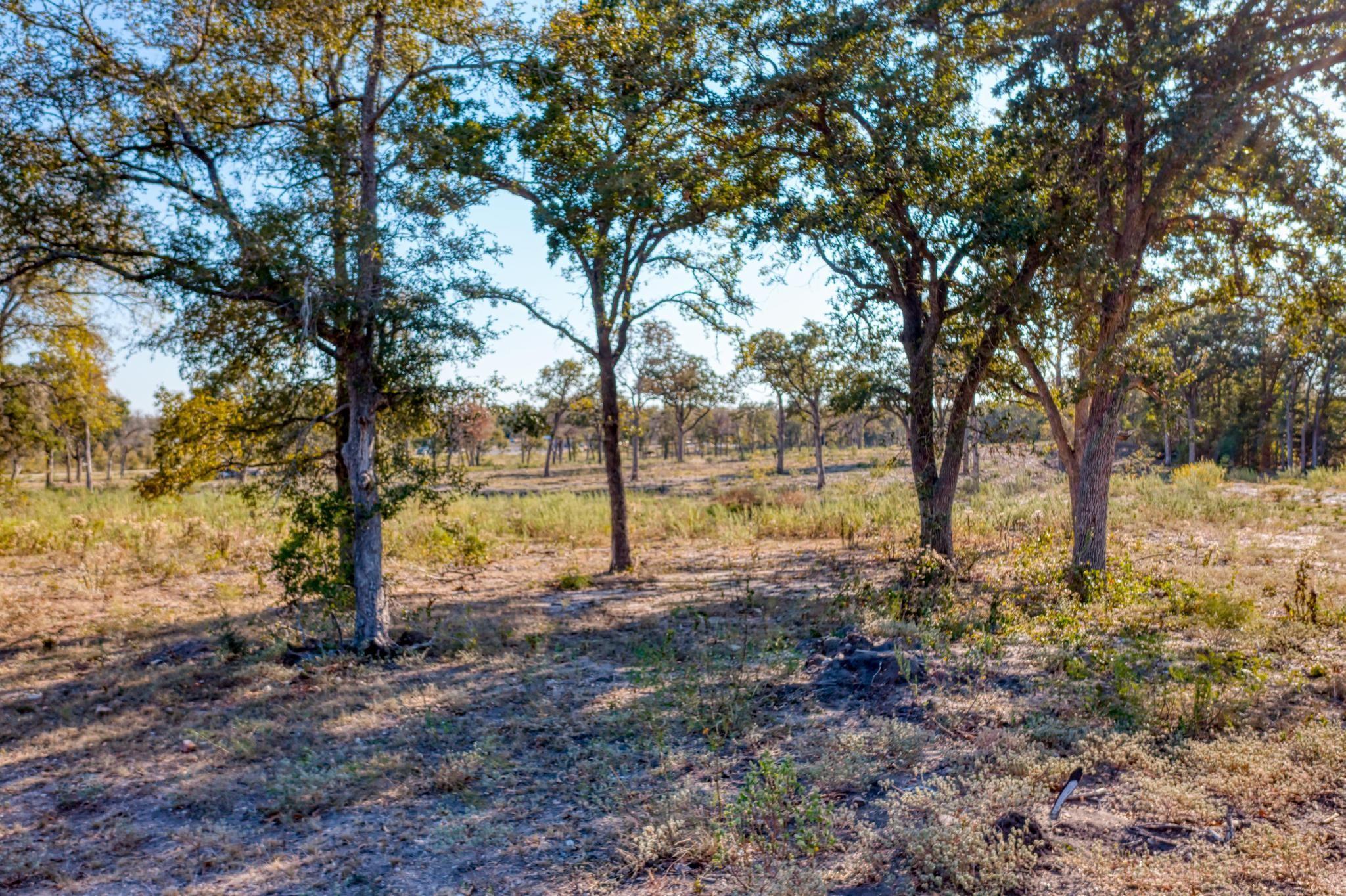 9202 Lockwood Springs RD, Manor, TX 78653 photo 5