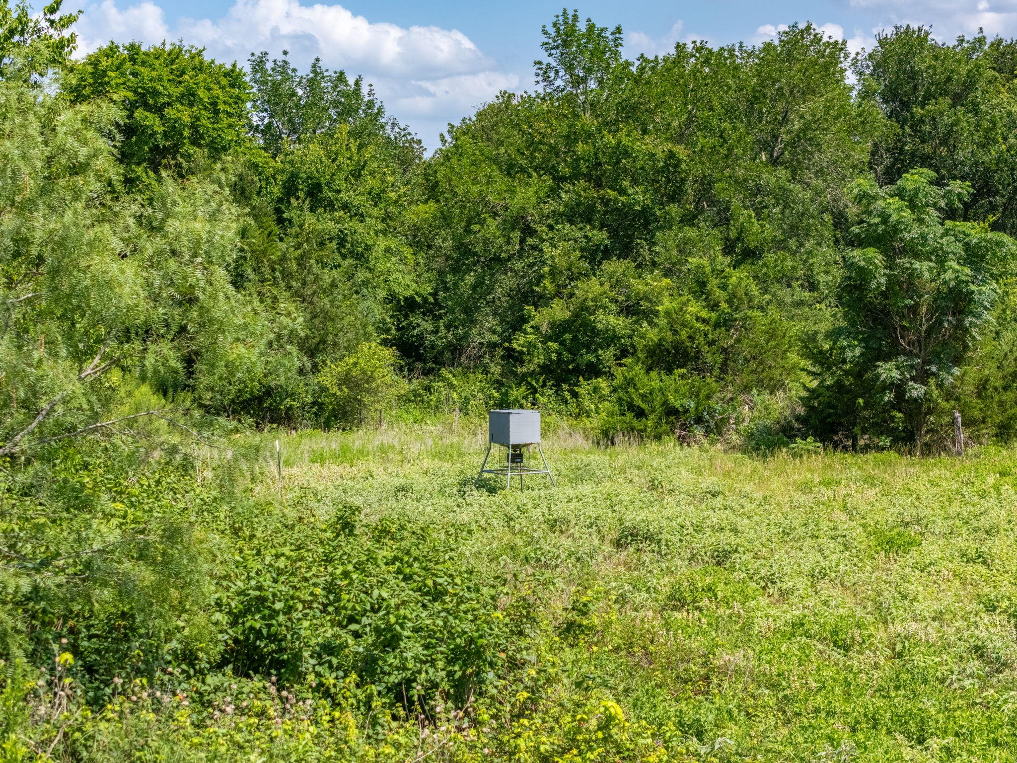 1500 County Road 481, Thrall, TX 76578 photo 4
