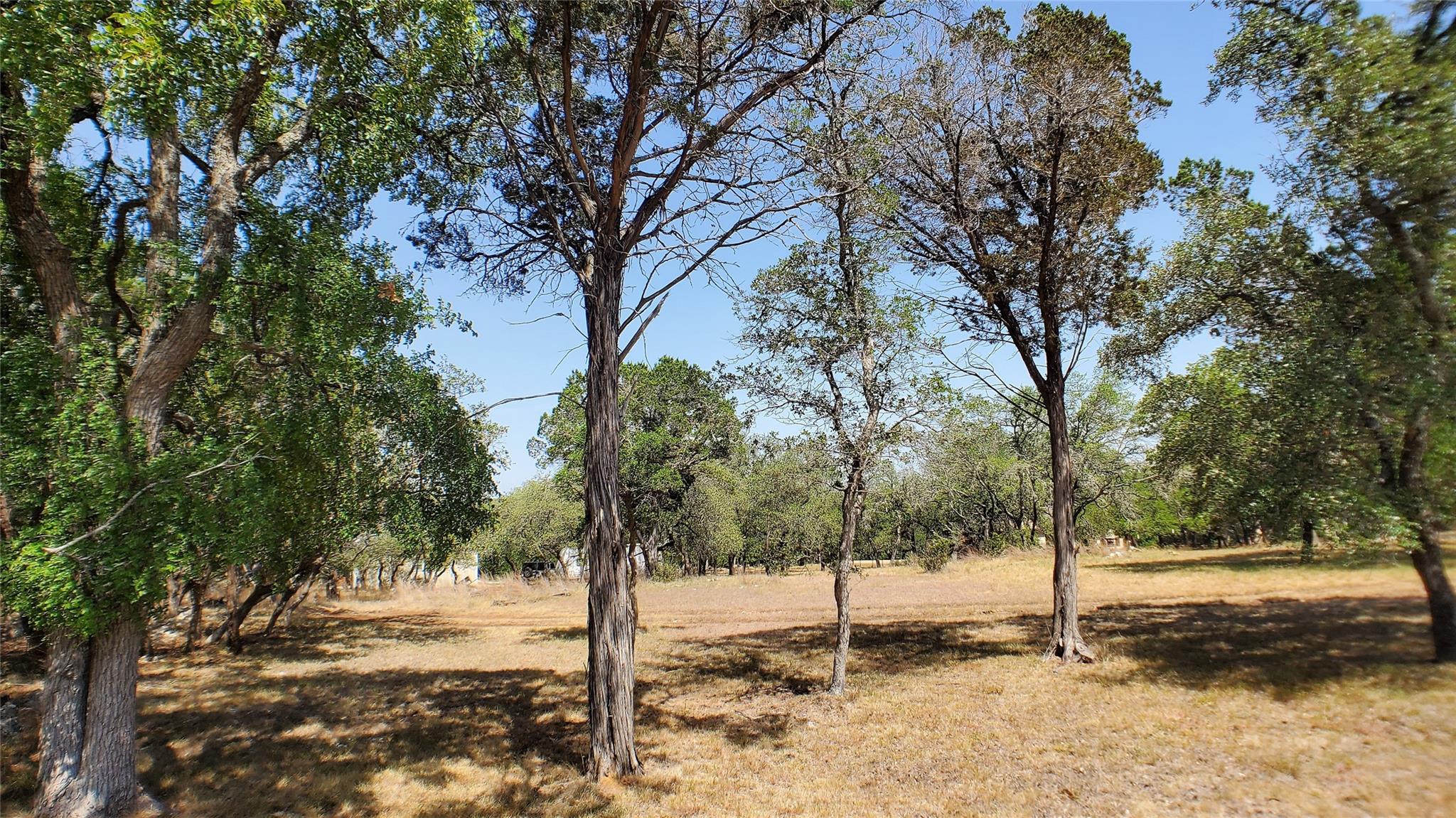 650 Beauchamp RD, Dripping Springs, TX 78620 photo 5