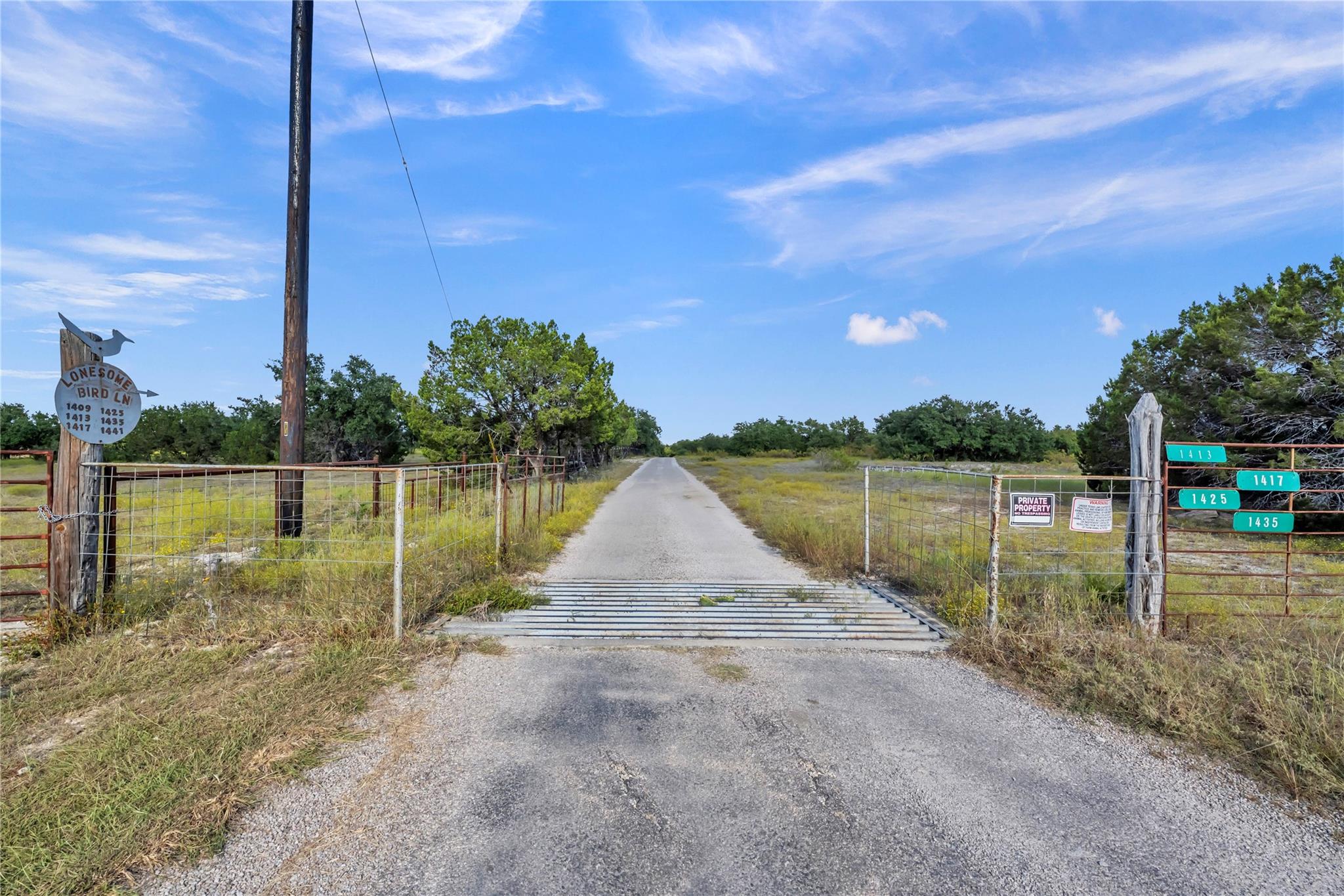 TBD Lonesome Bird LN, Burnet, TX 78611 photo 4