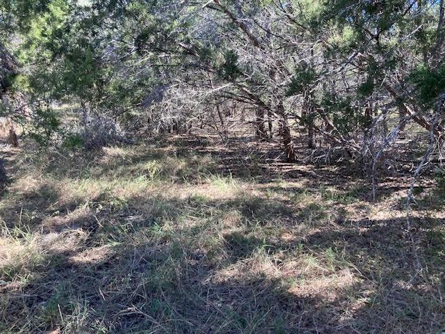55 York Creek RD, Driftwood, TX 78619 photo 3