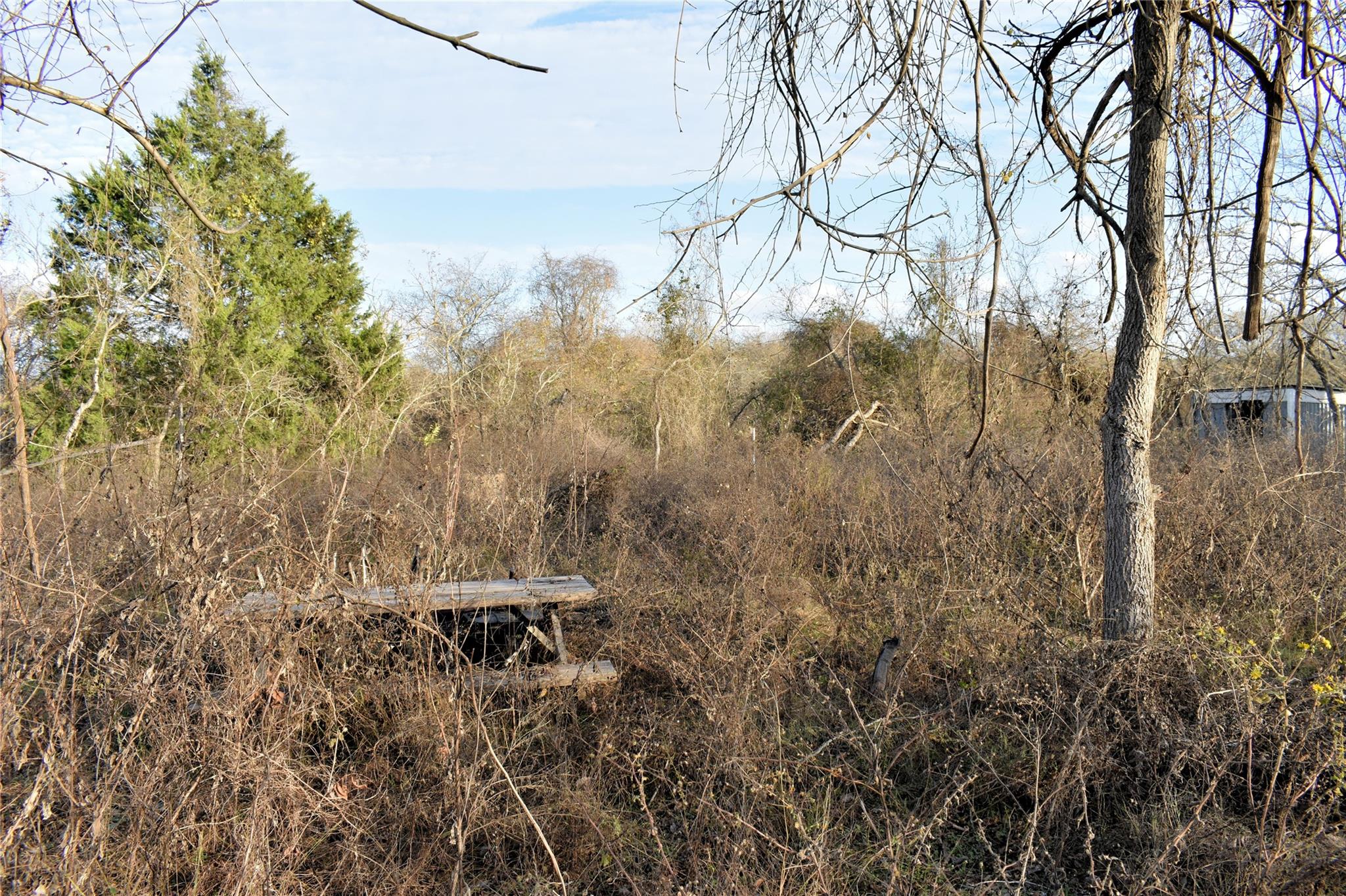 TBD Young RD, Smithville, TX 78957 photo 5