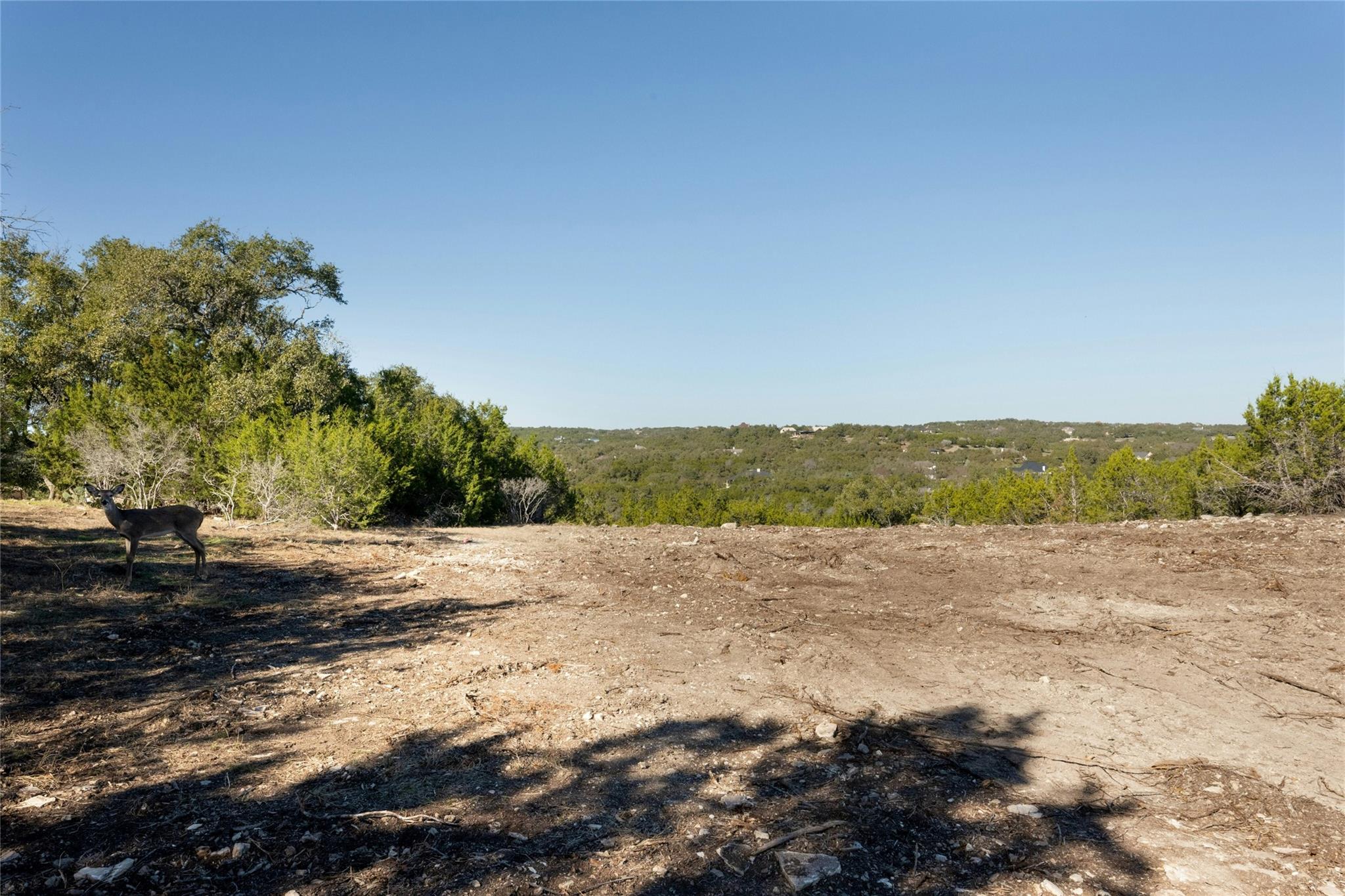 736 Covered Bridge DR, Driftwood, TX 78619 photo 3