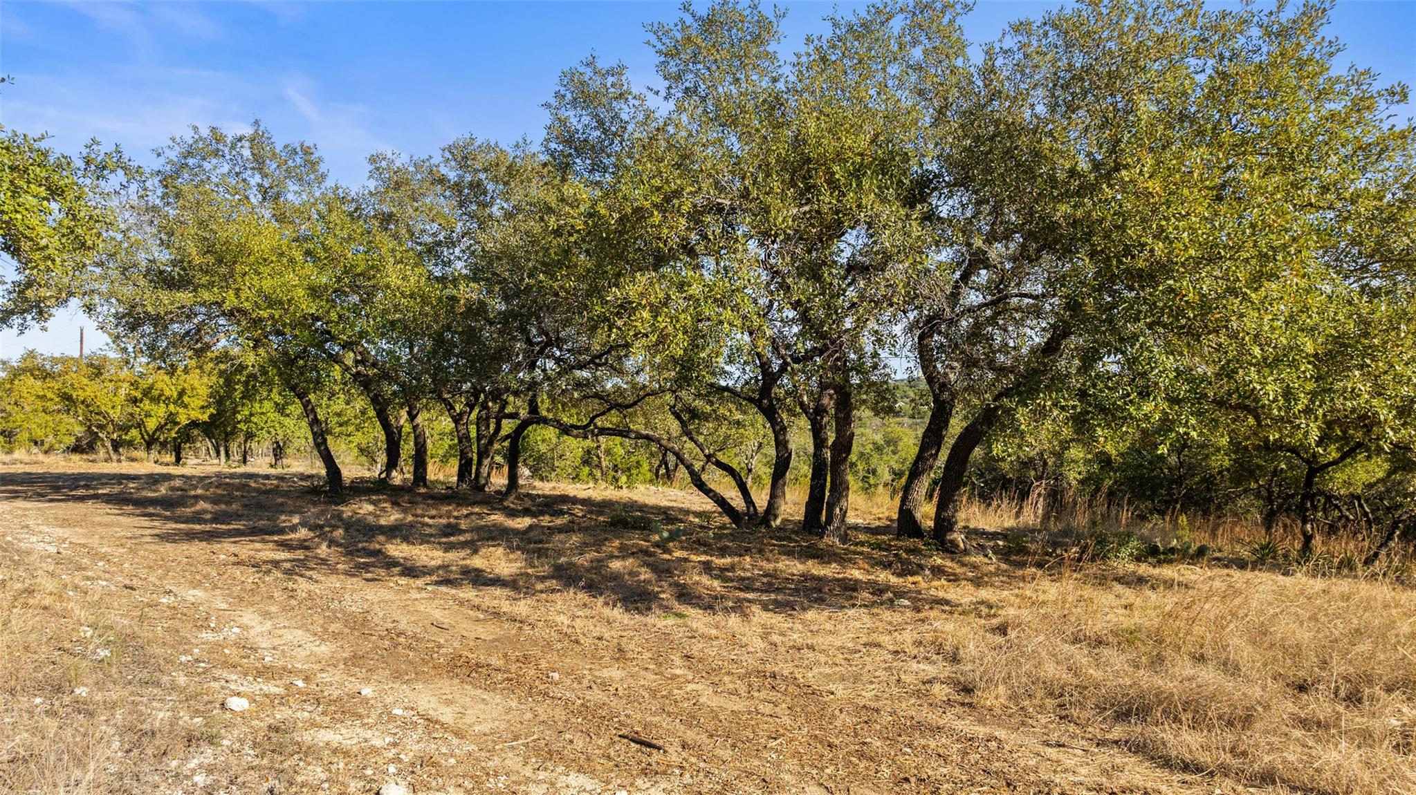 23405 Pedernales Canyon TRL, Spicewood, TX 78669 photo 3