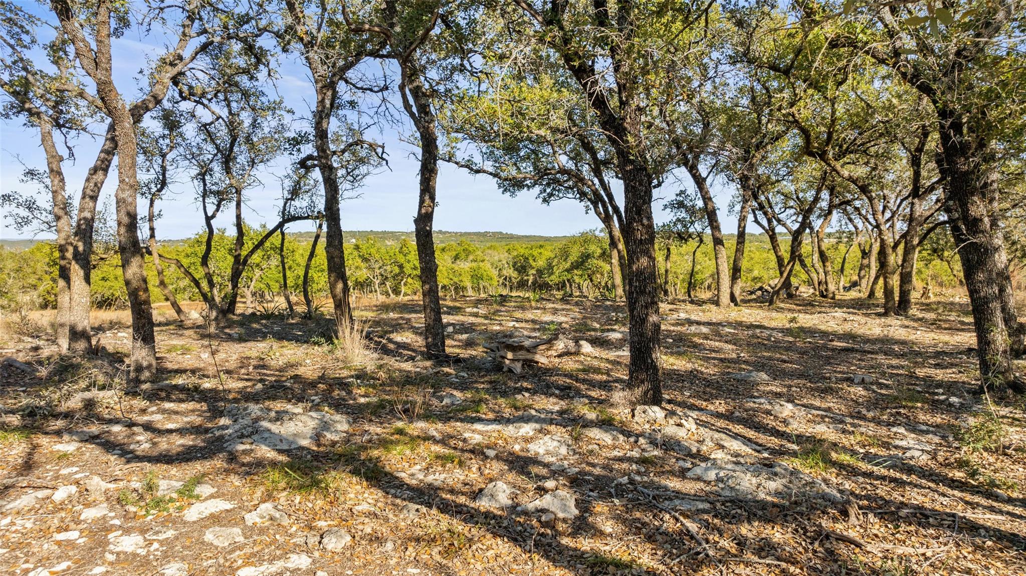 23405 Pedernales Canyon TRL, Spicewood, TX 78669 photo 5