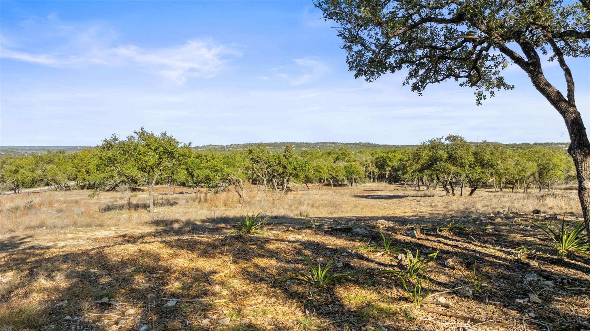 23405 Pedernales Canyon TRL, Spicewood, TX 78669 photo 4