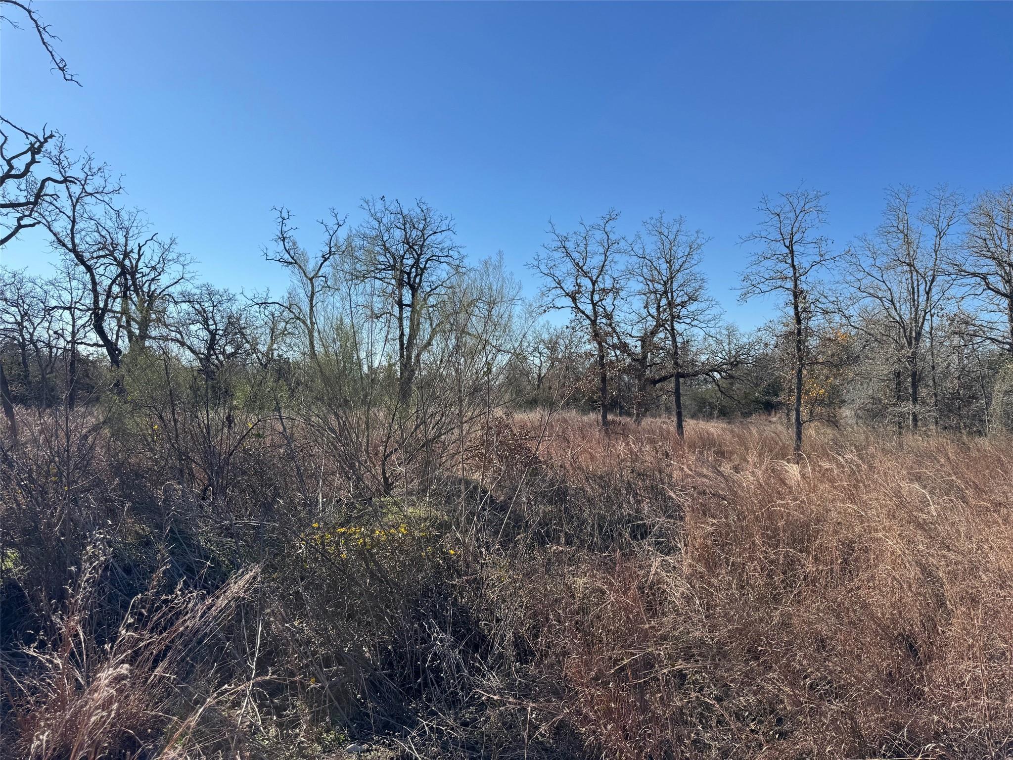 TBD Marjess DR, Cedar Creek, TX 78612 photo 2
