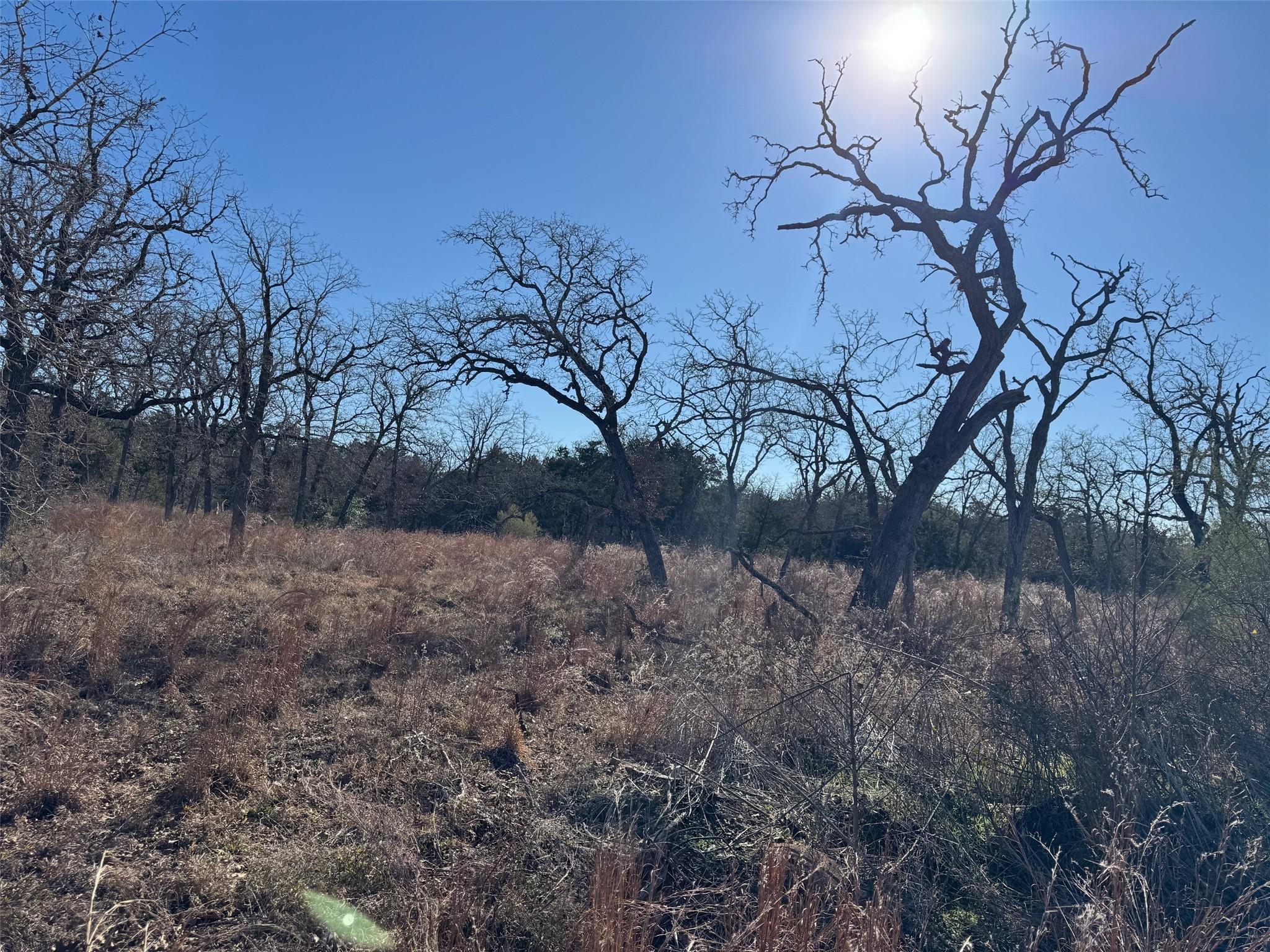 TBD Marjess DR, Cedar Creek, TX 78612 photo 3