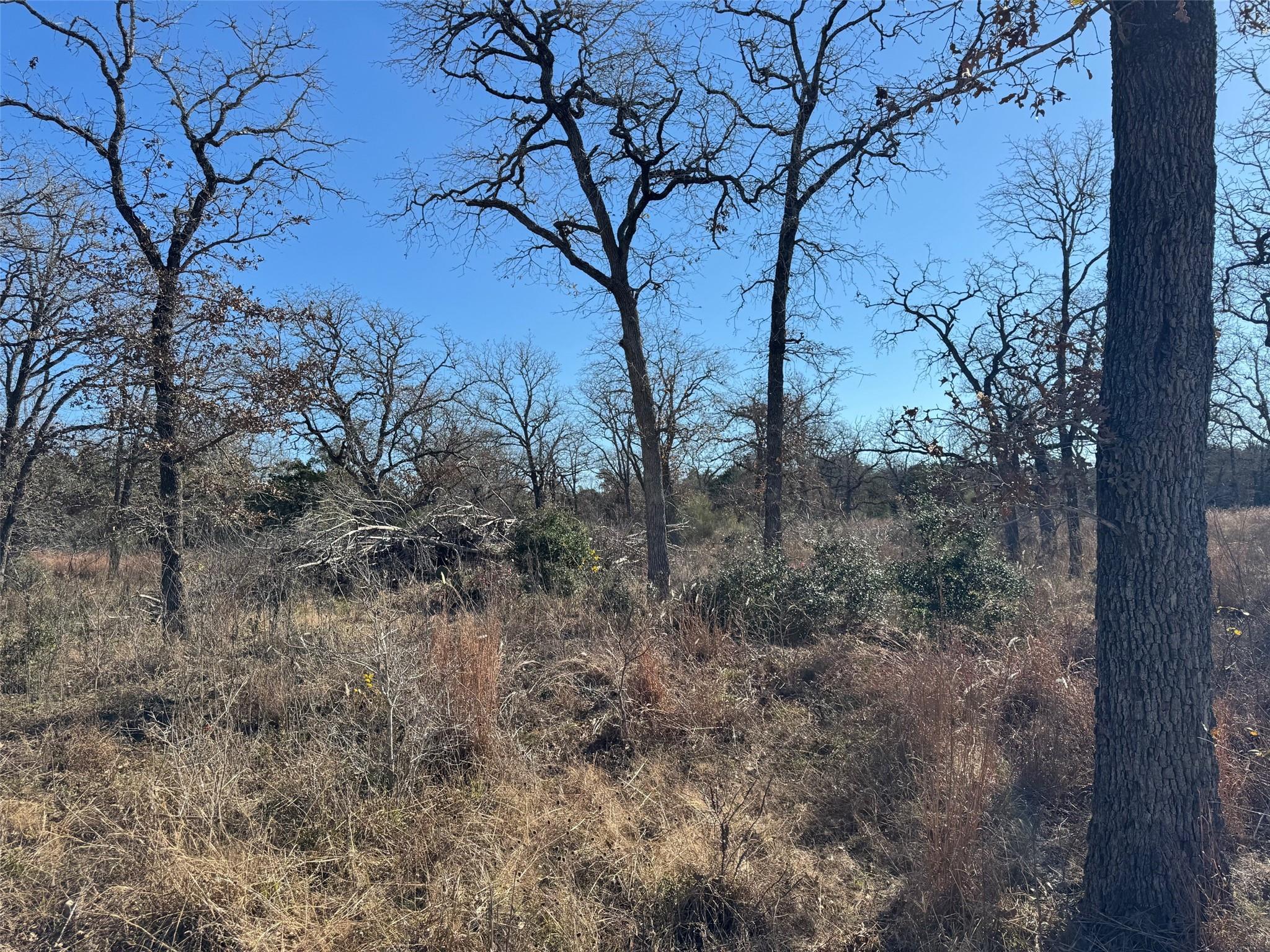 TBD Marjess DR, Cedar Creek, TX 78612 photo 5