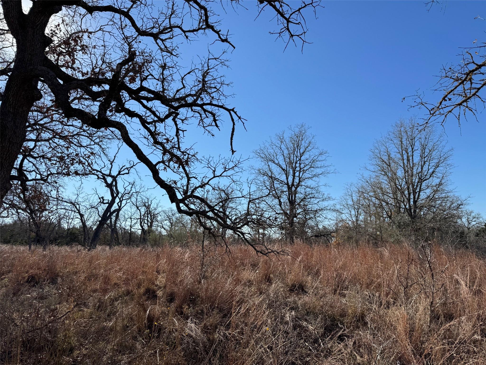 TBD Marjess DR, Cedar Creek, TX 78612 photo 4