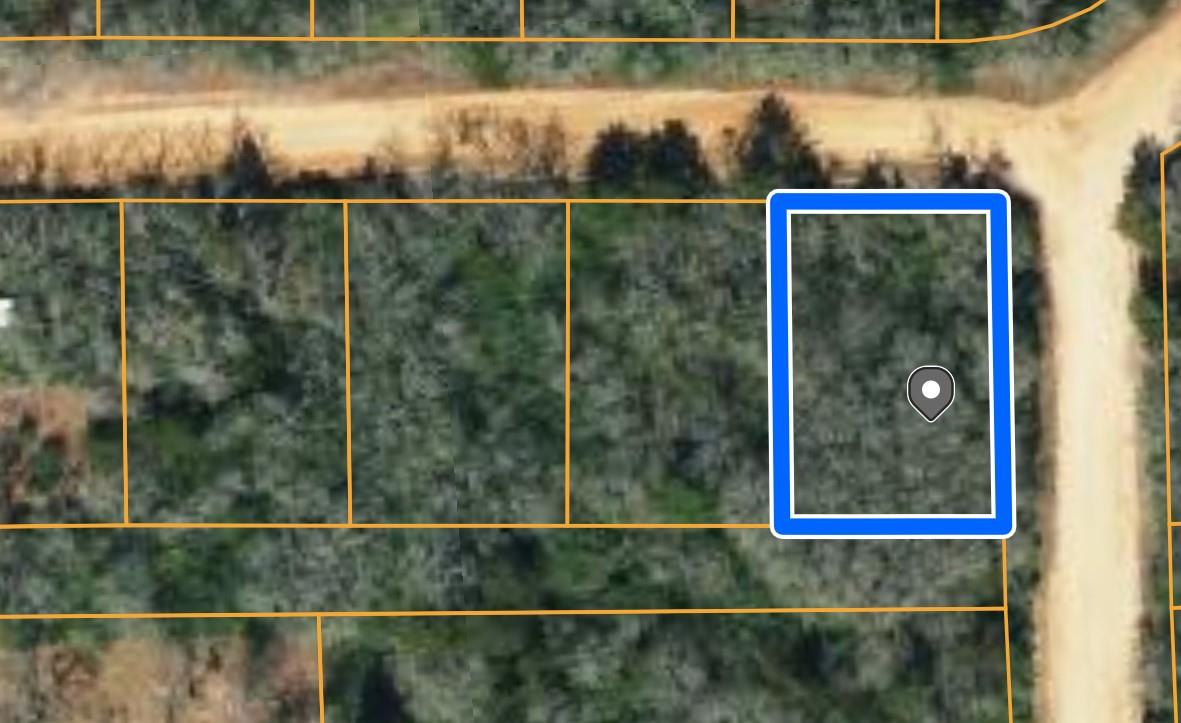 TBD Navarro DR, Hilltop Lakes, TX 77871 photo 2