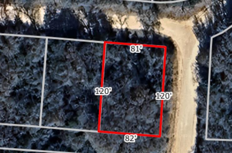 TBD Navarro DR, Hilltop Lakes, TX 77871 photo 3