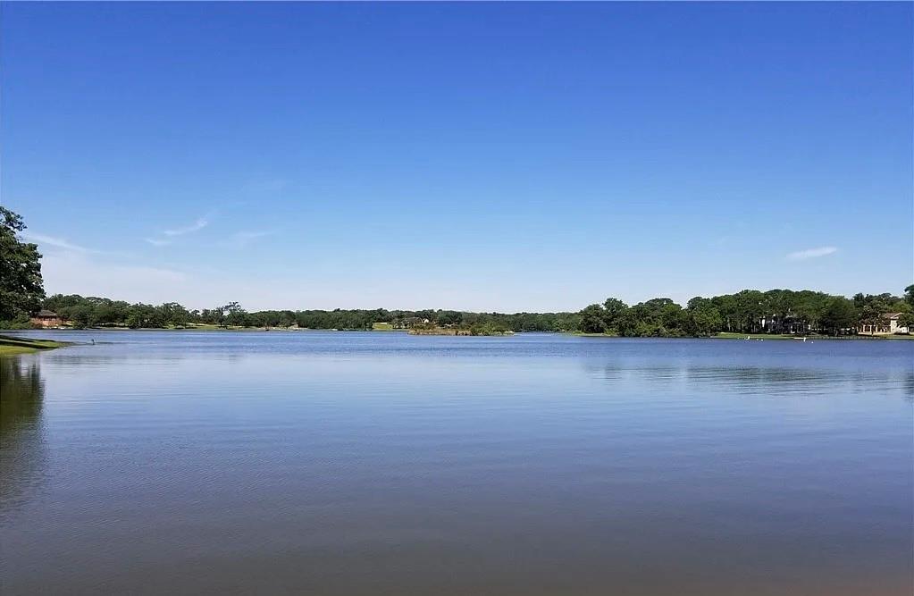TBD Navarro DR, Hilltop Lakes, TX 77871 photo 4