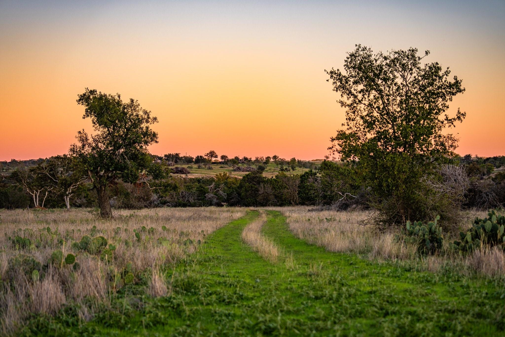 TBD FM 2843, Salado, TX 76571 photo 4