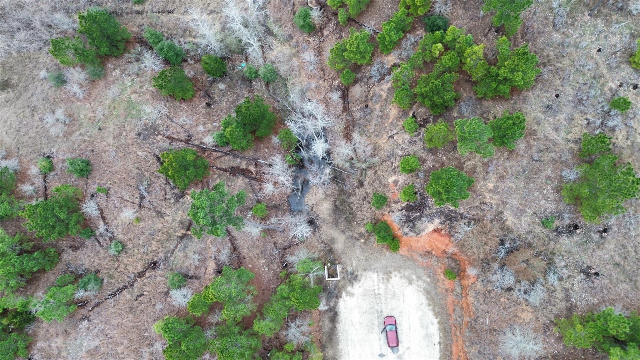 LOT 179 / R32264 Keo Kea CT, Bastrop, TX 78602 photo 3