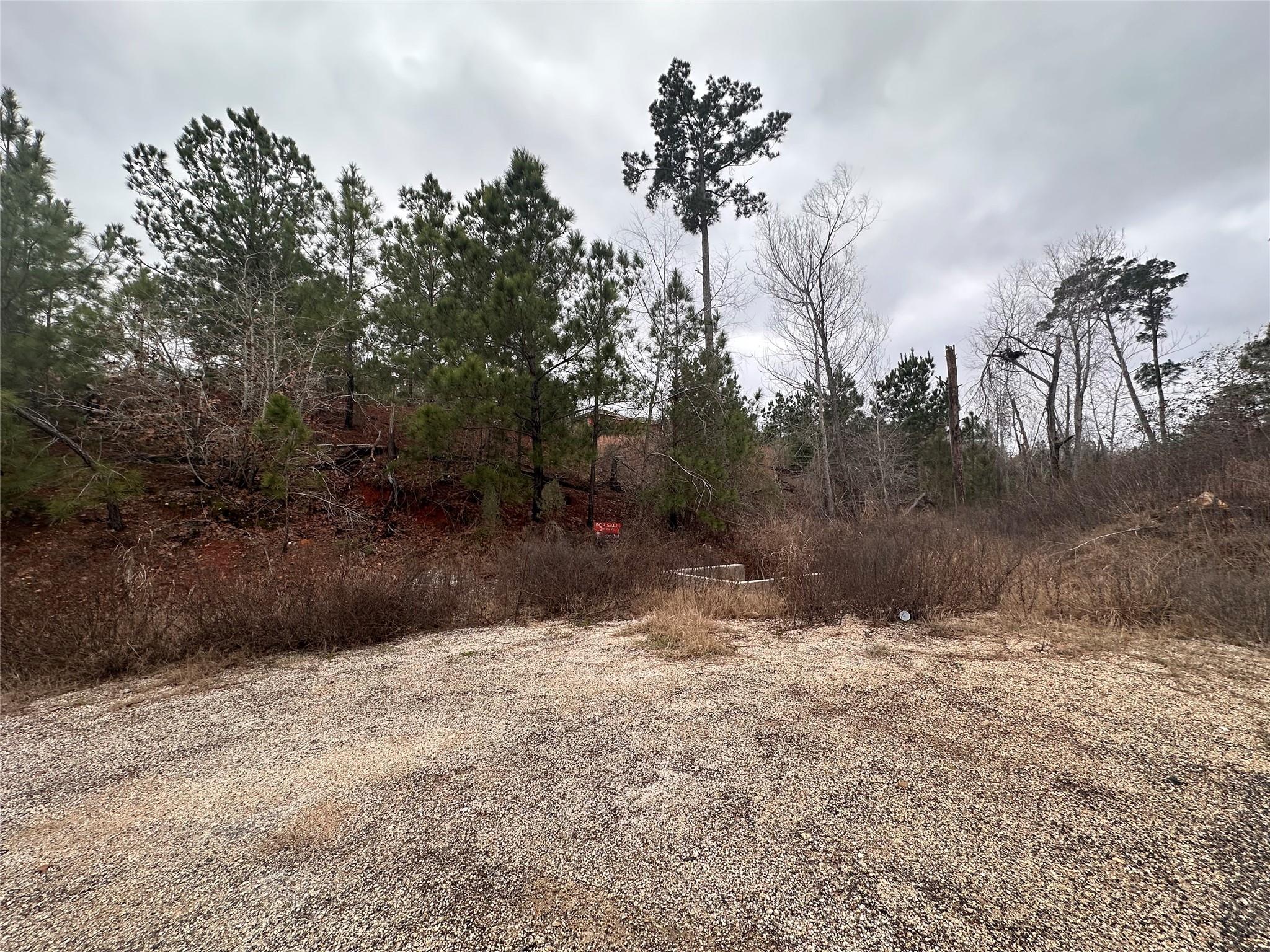 LOT 178 / R32255 Keo Kea CT, Bastrop, TX 78602 photo 3