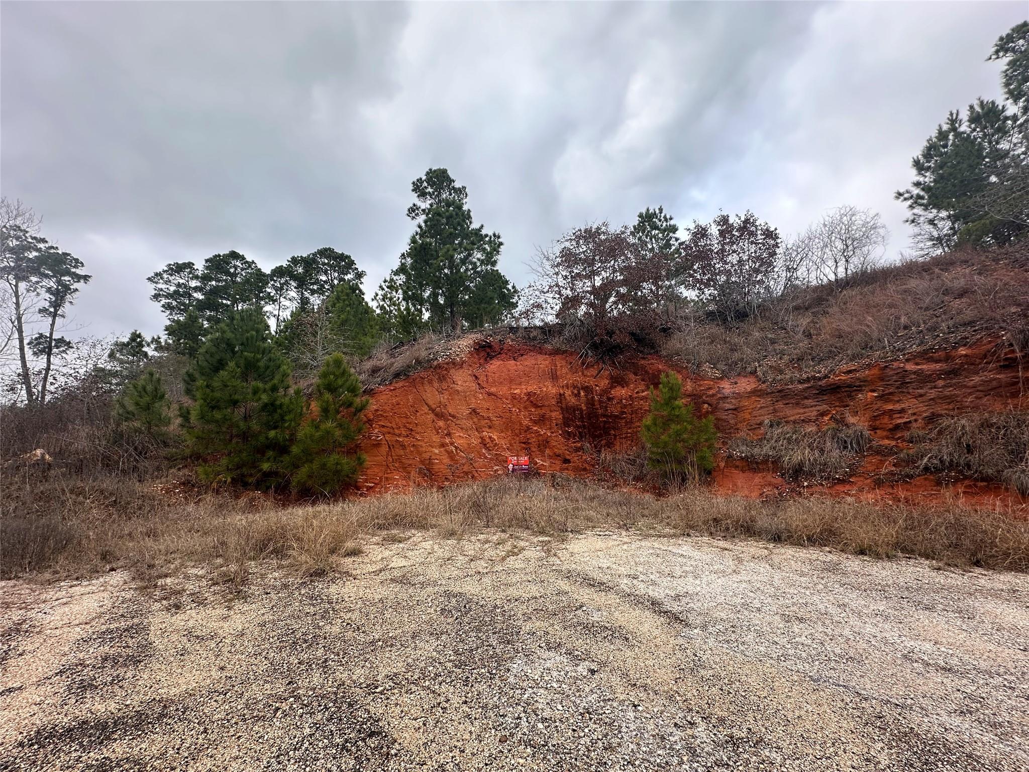 LOT 178 / R32255 Keo Kea CT, Bastrop, TX 78602 photo 5