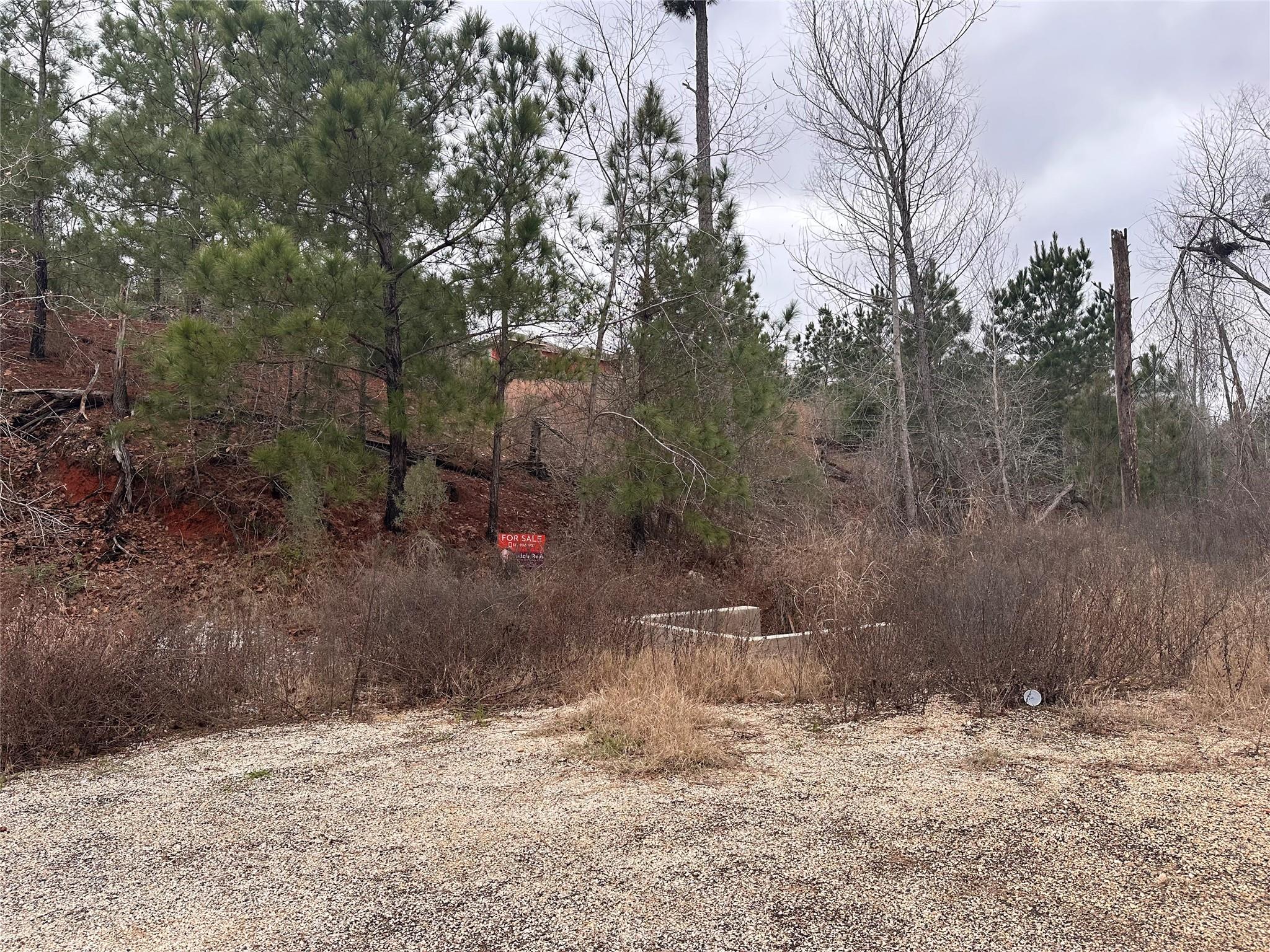 LOT 178 / R32255 Keo Kea CT, Bastrop, TX 78602 photo 4
