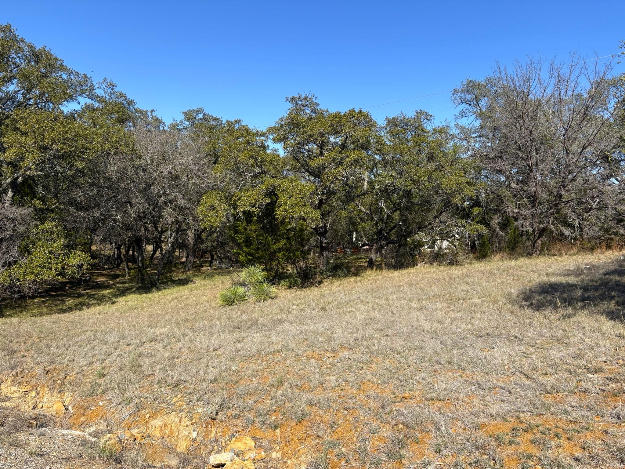 118 Cactus Corner, Horseshoe Bay, TX 78657 photo 3