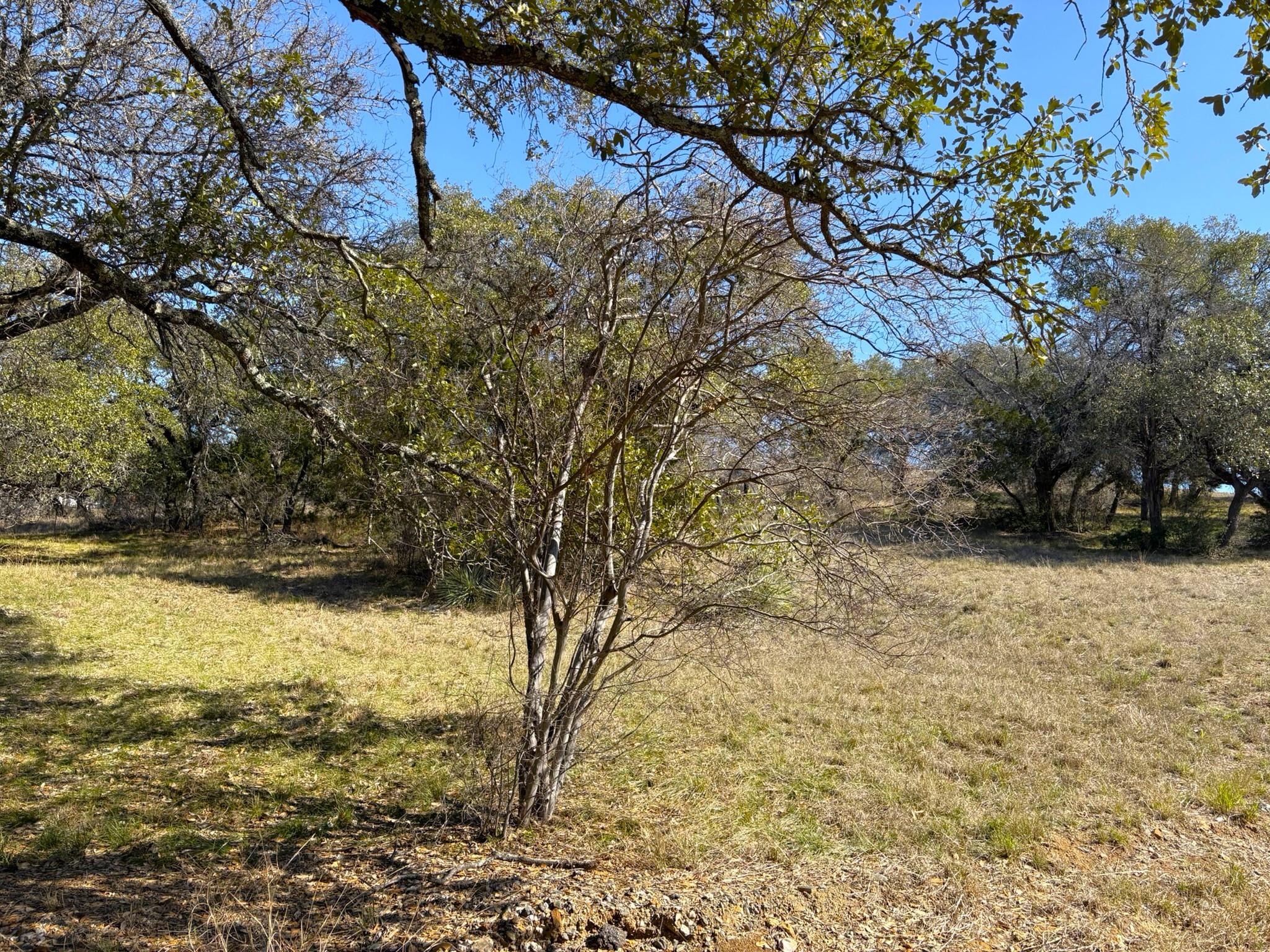 118 Cactus Corner, Horseshoe Bay, TX 78657 photo 5