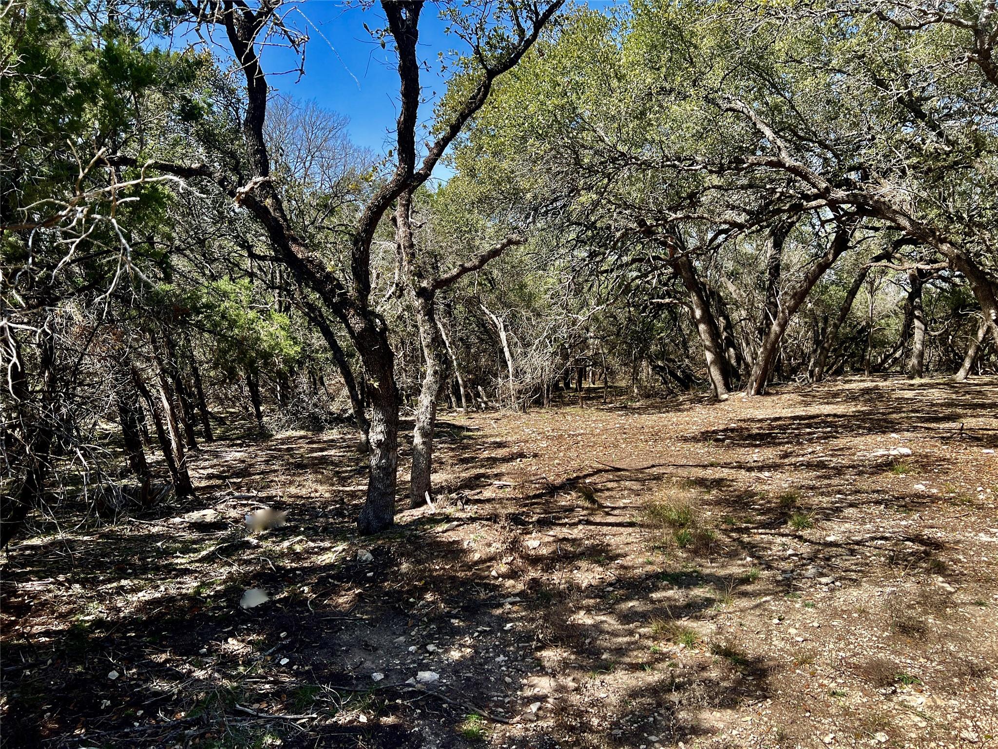 21300 HIGHLAND LAKE DR, Lago Vista, TX 78645 photo 4