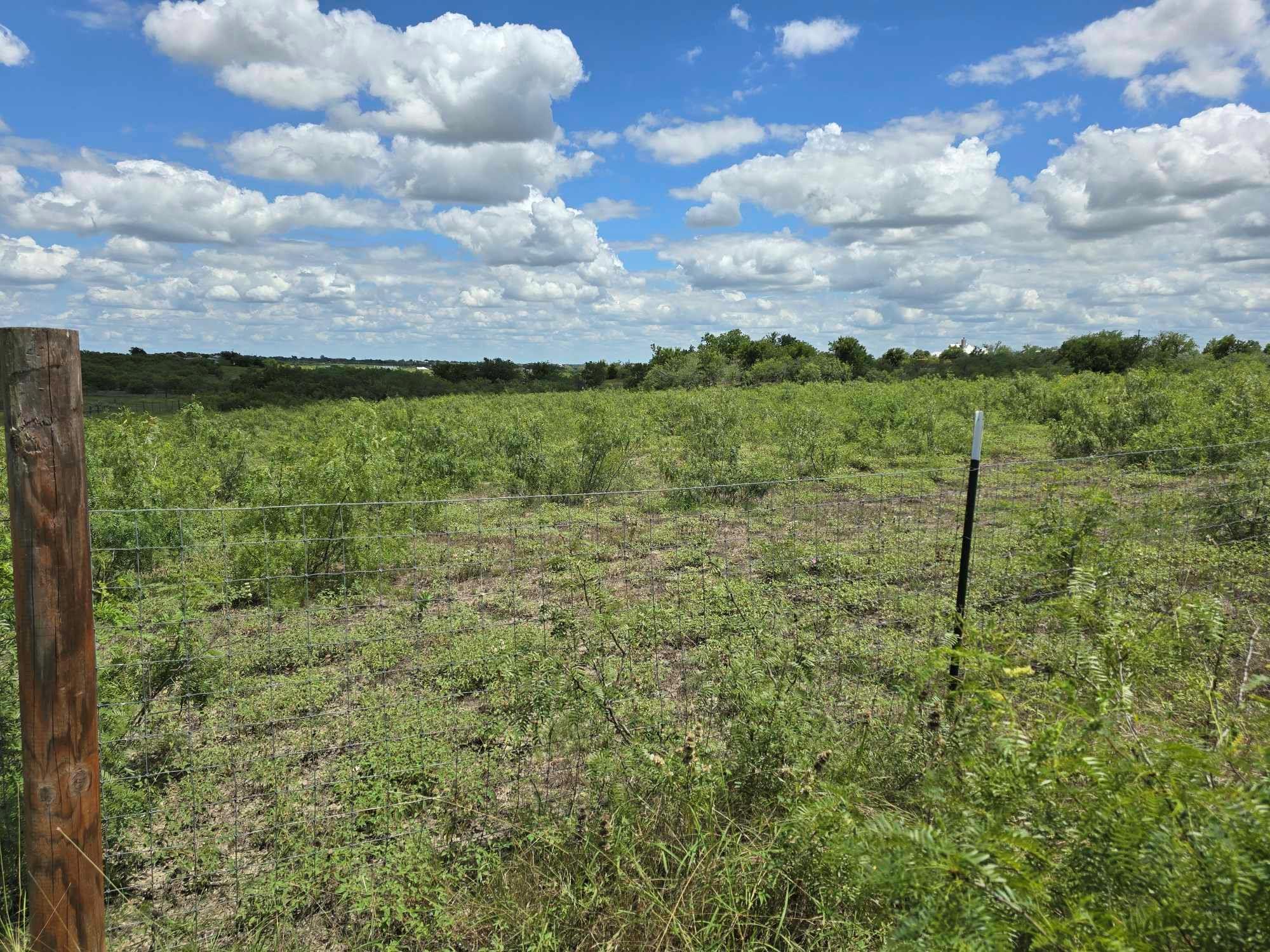414 3G Ranch RD, Kyle, TX 78640 photo 4