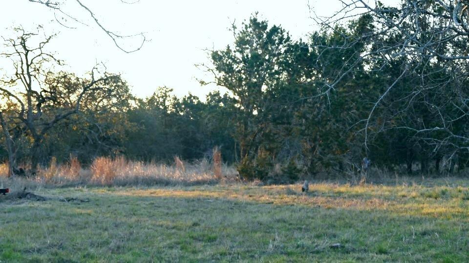 1141 Settlers RD, San Marcos, TX 78666 photo 3