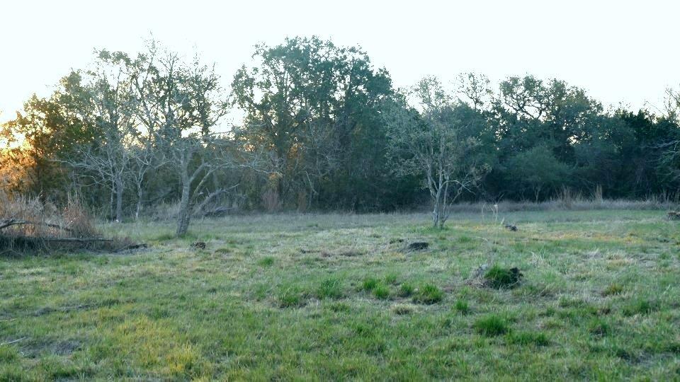 1141 Settlers RD, San Marcos, TX 78666 photo 5